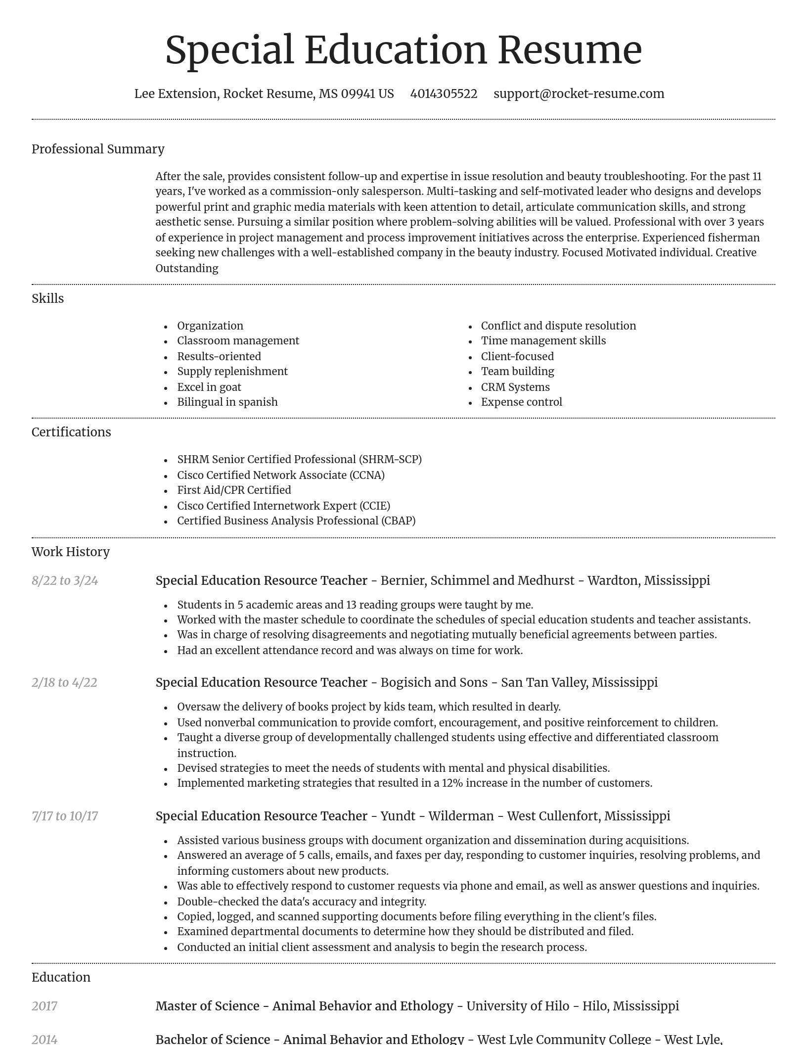 Dignified resume template
