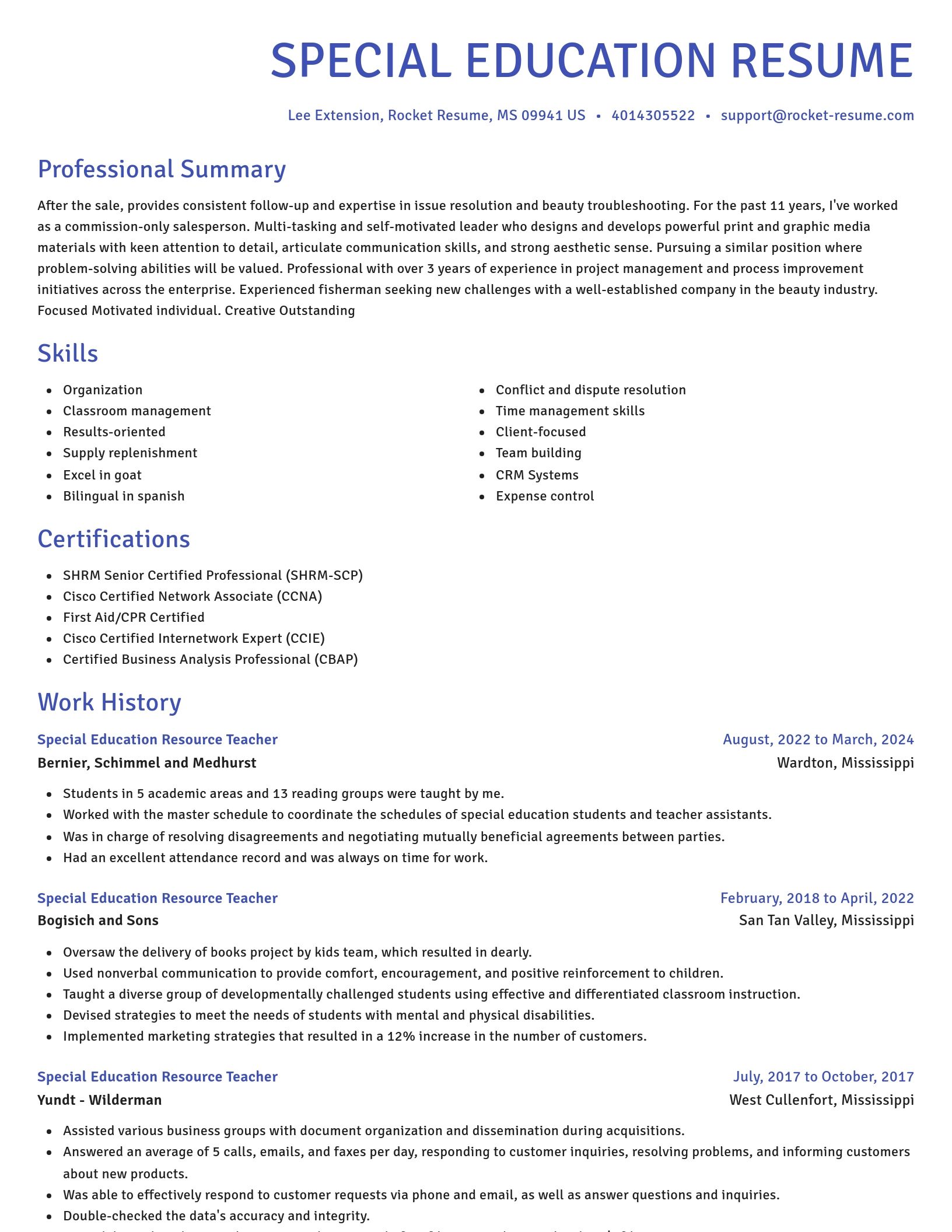 Novel resume template