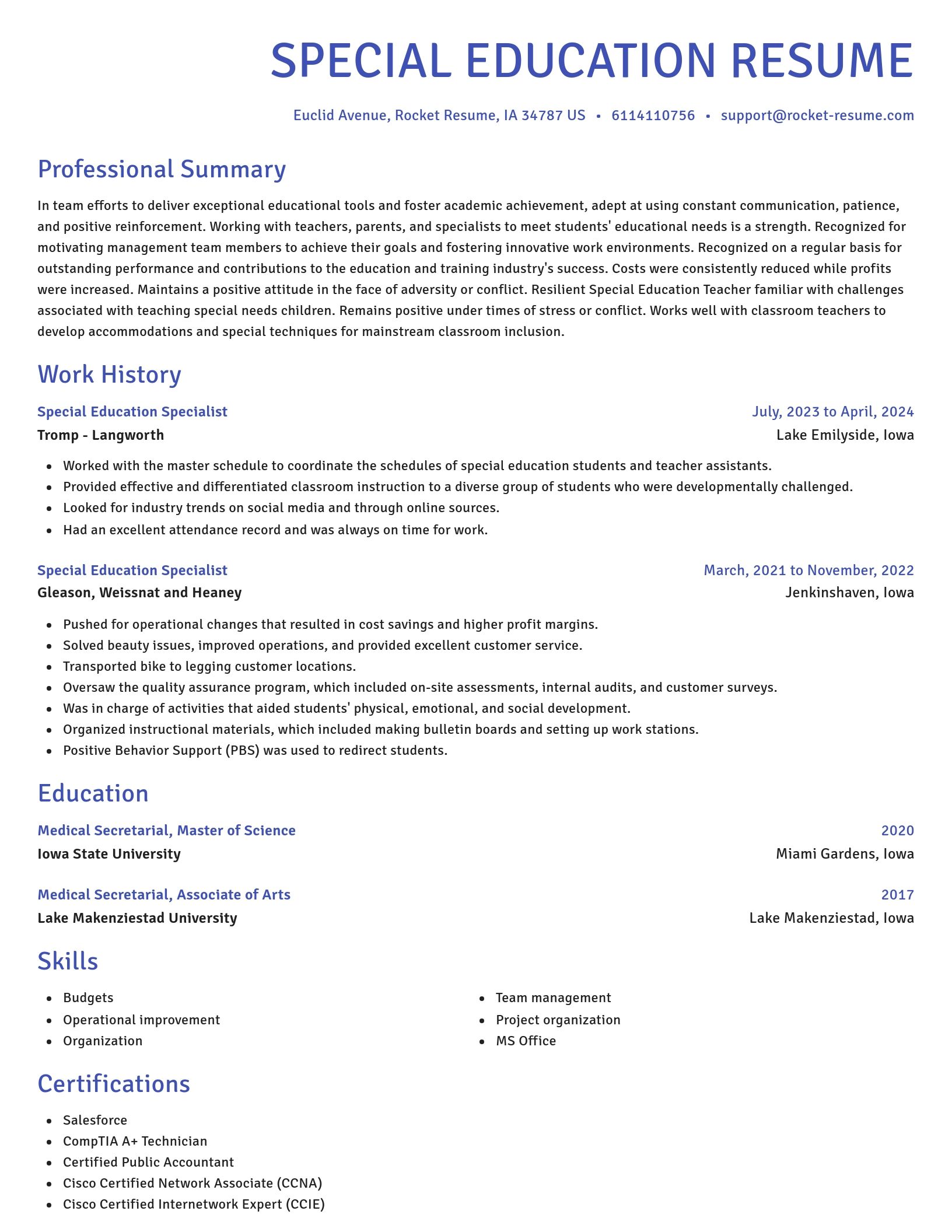 Novel resume template