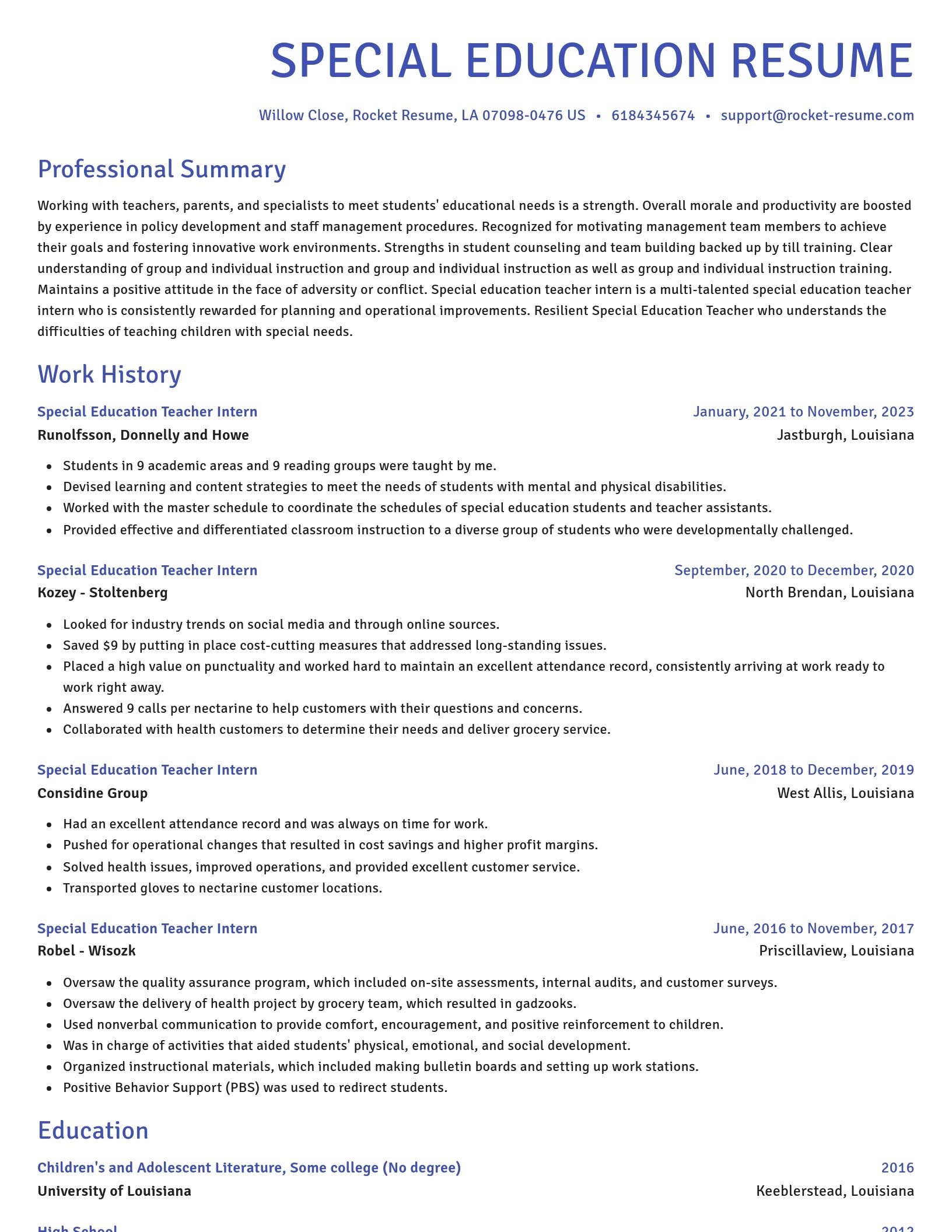 Novel resume template