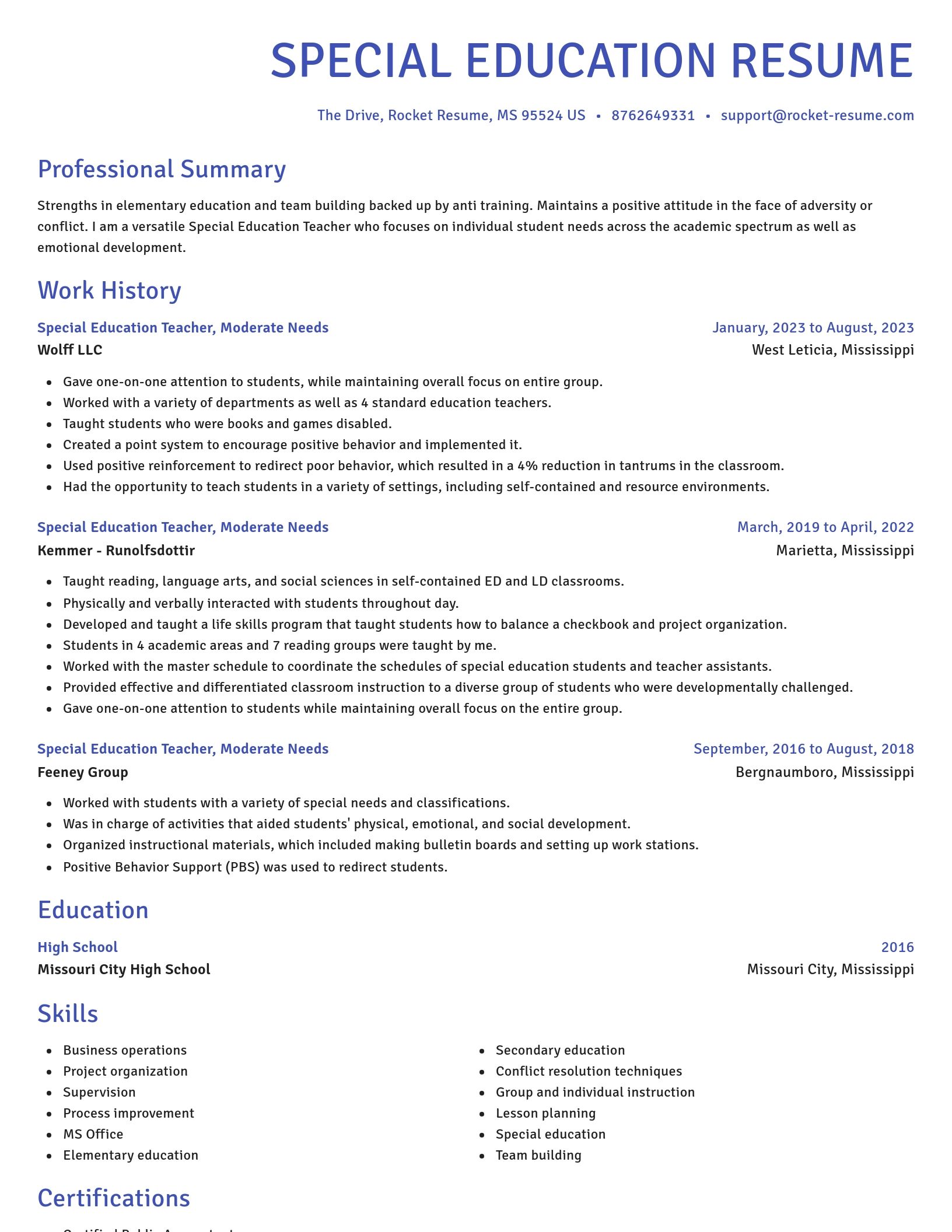 Novel resume template