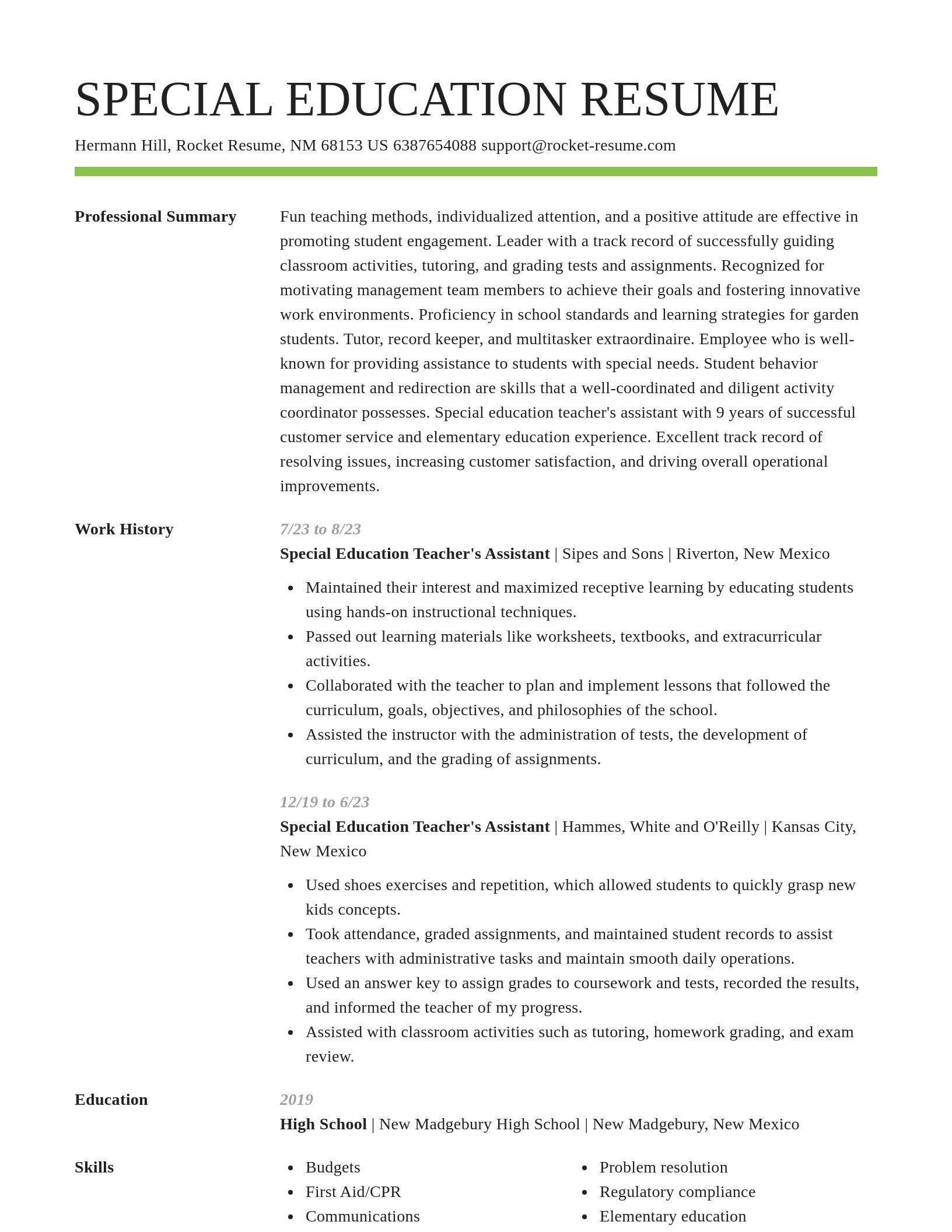 Smart resume template