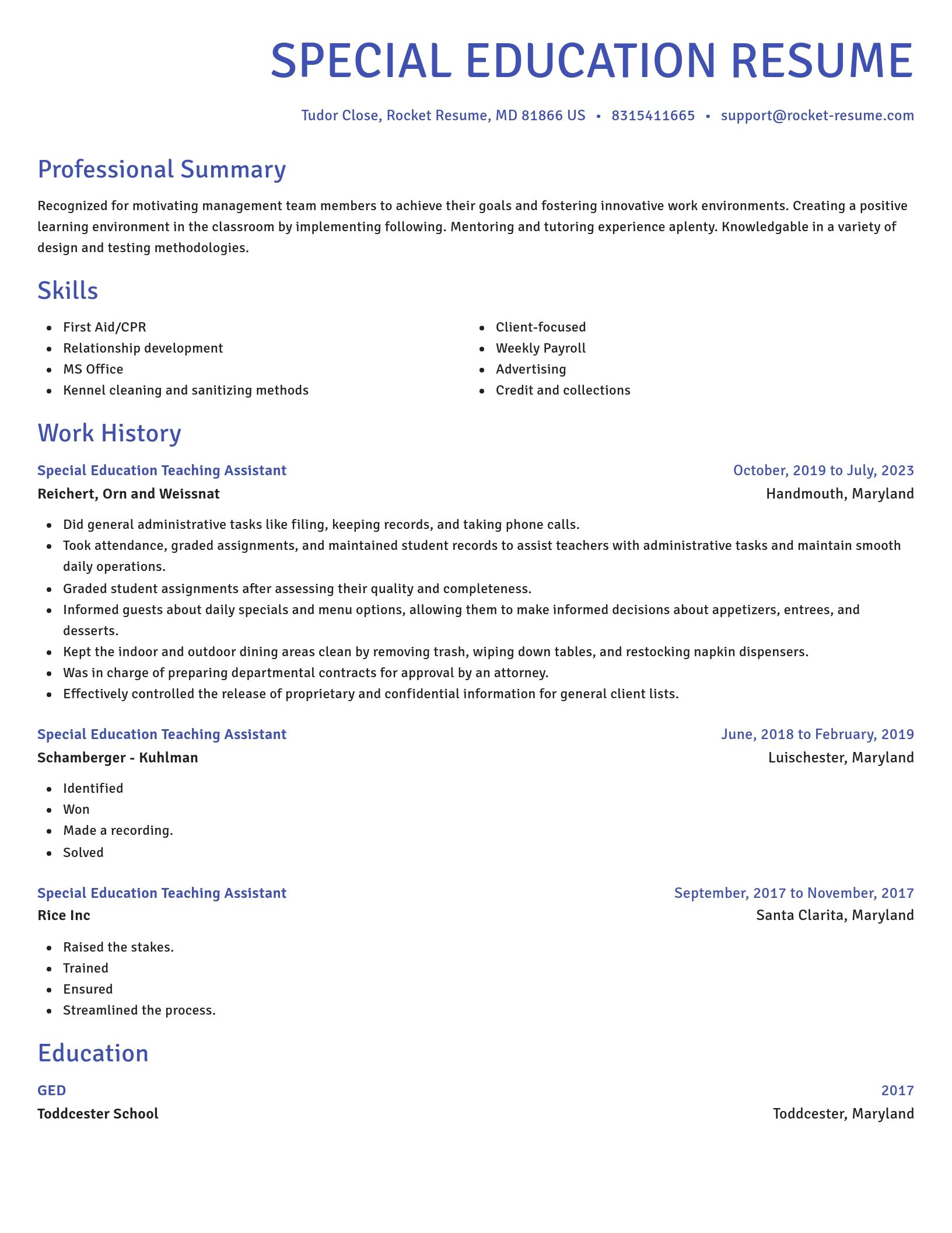 Novel resume template