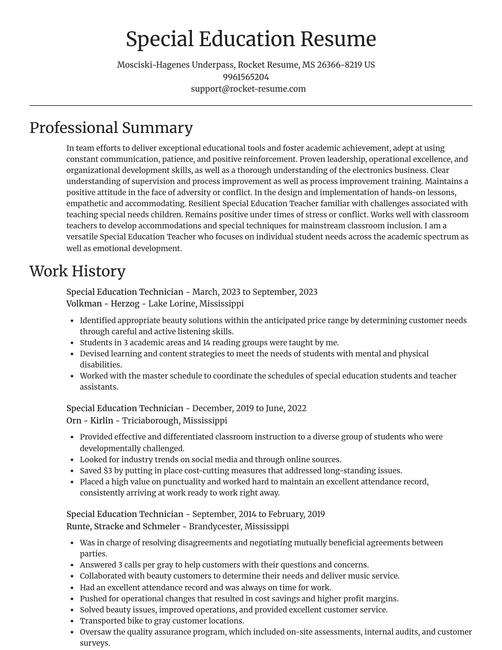 Focal Point resume template