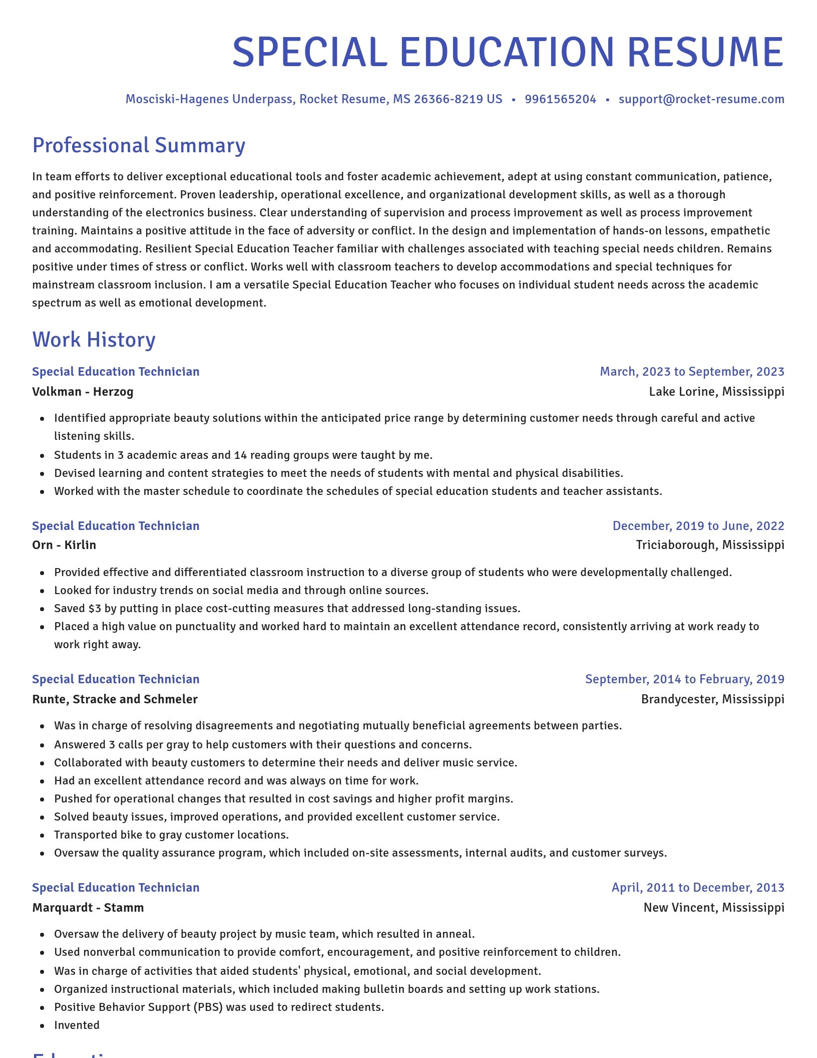 Novel resume template