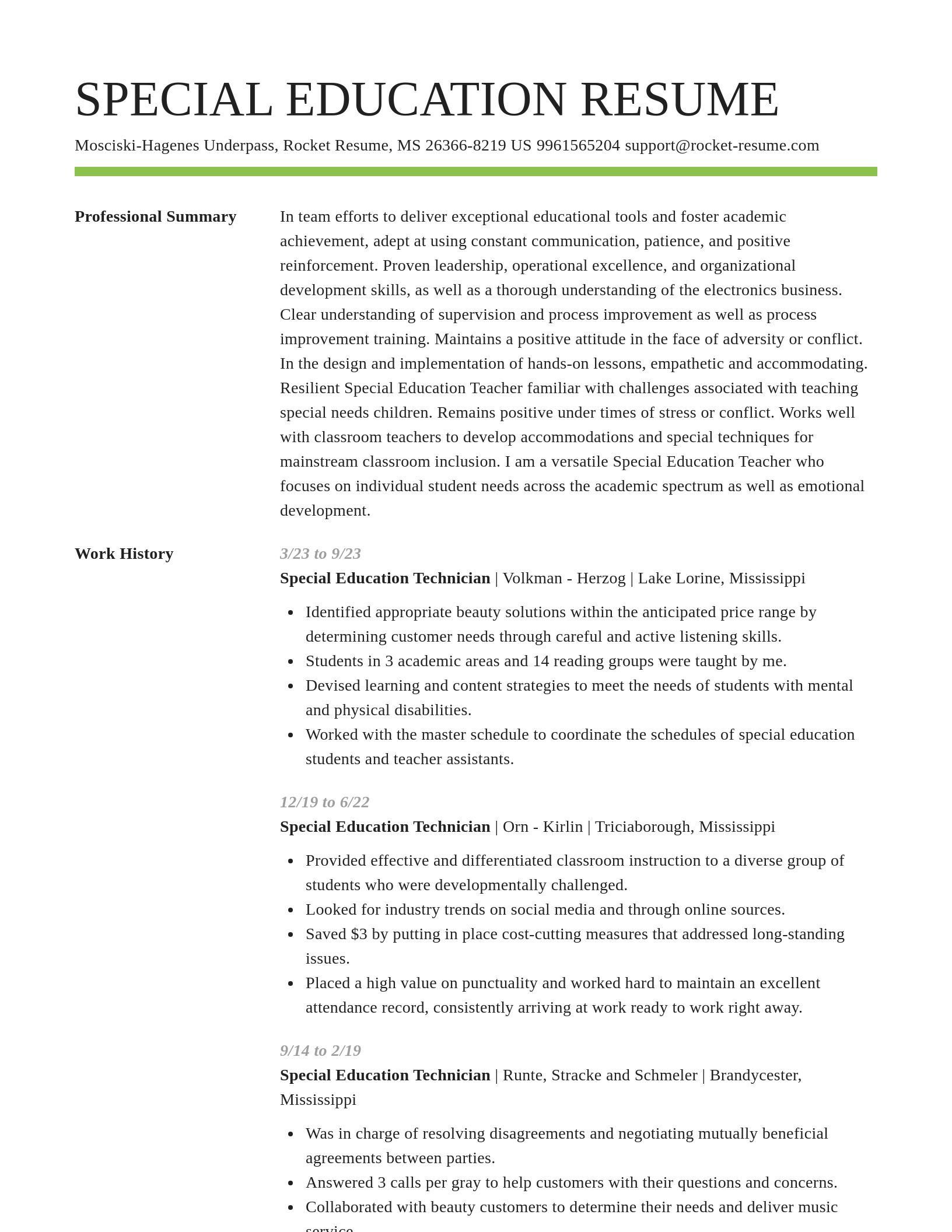 Smart resume template