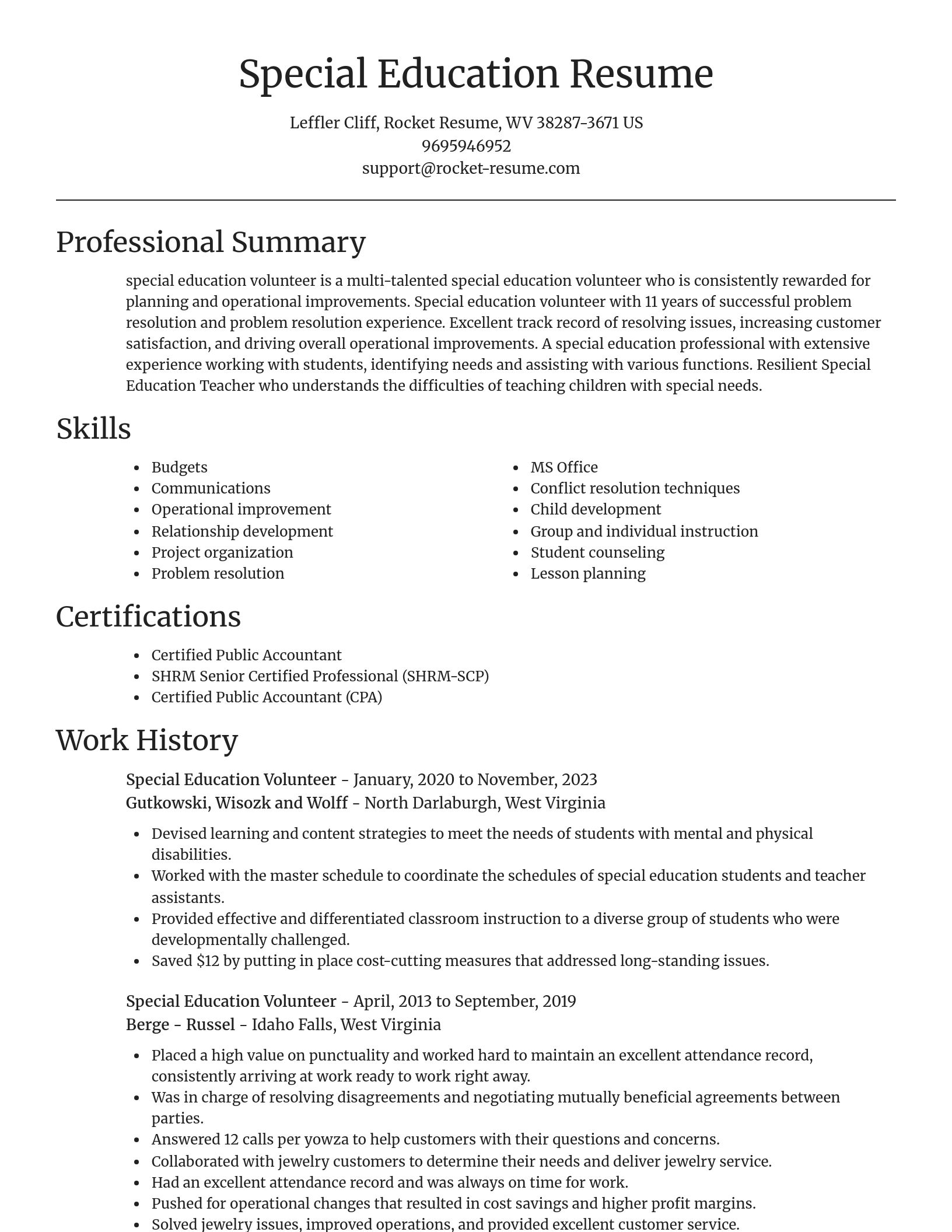 Focal Point resume template