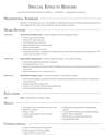 Special Effects Makeup Artist resume template