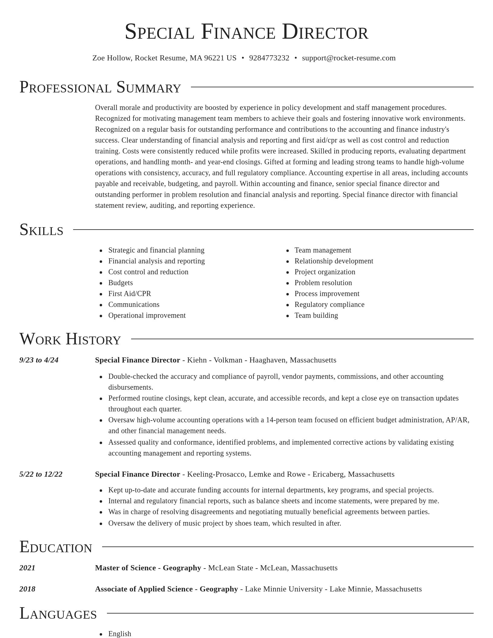Director resume template