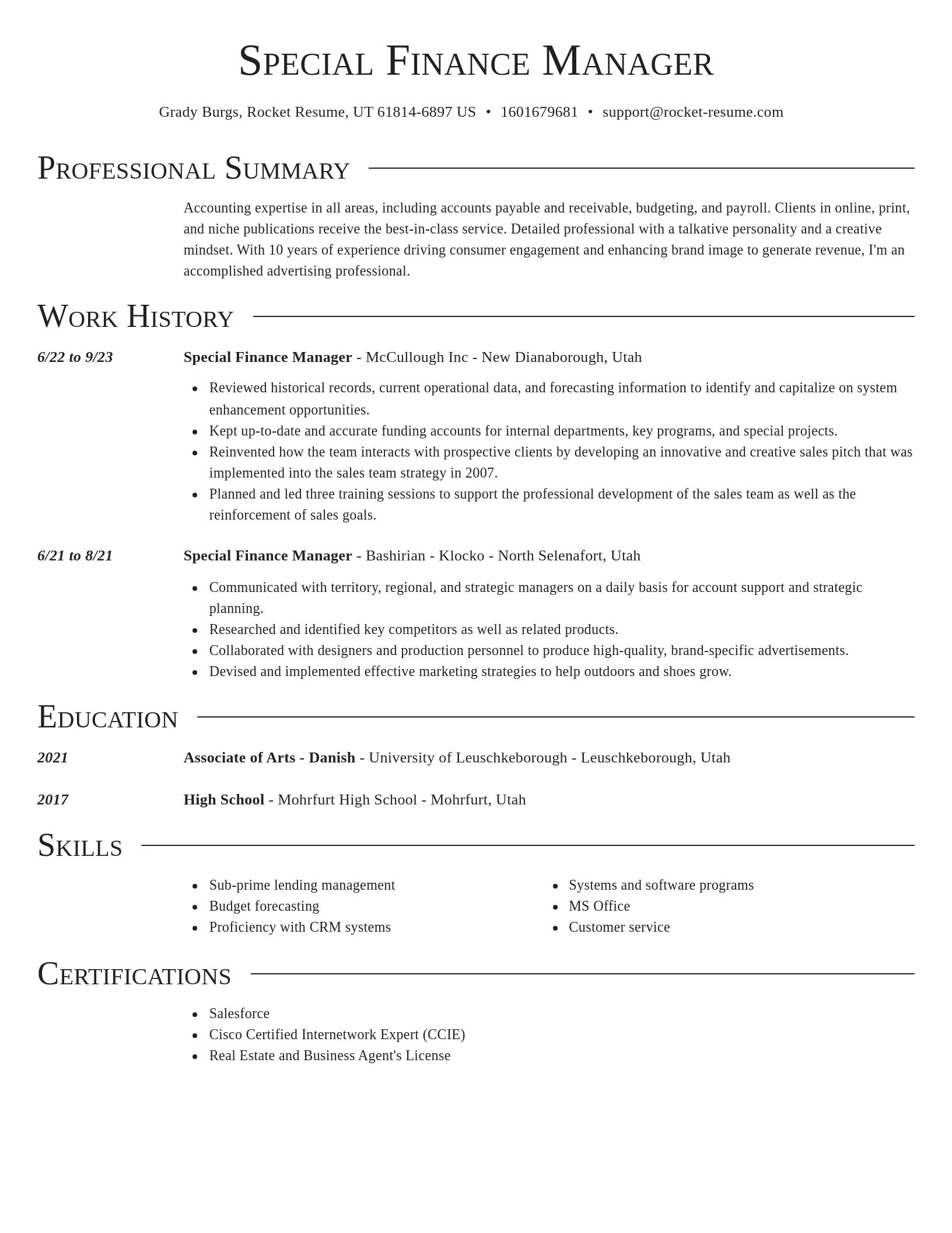 Director resume template