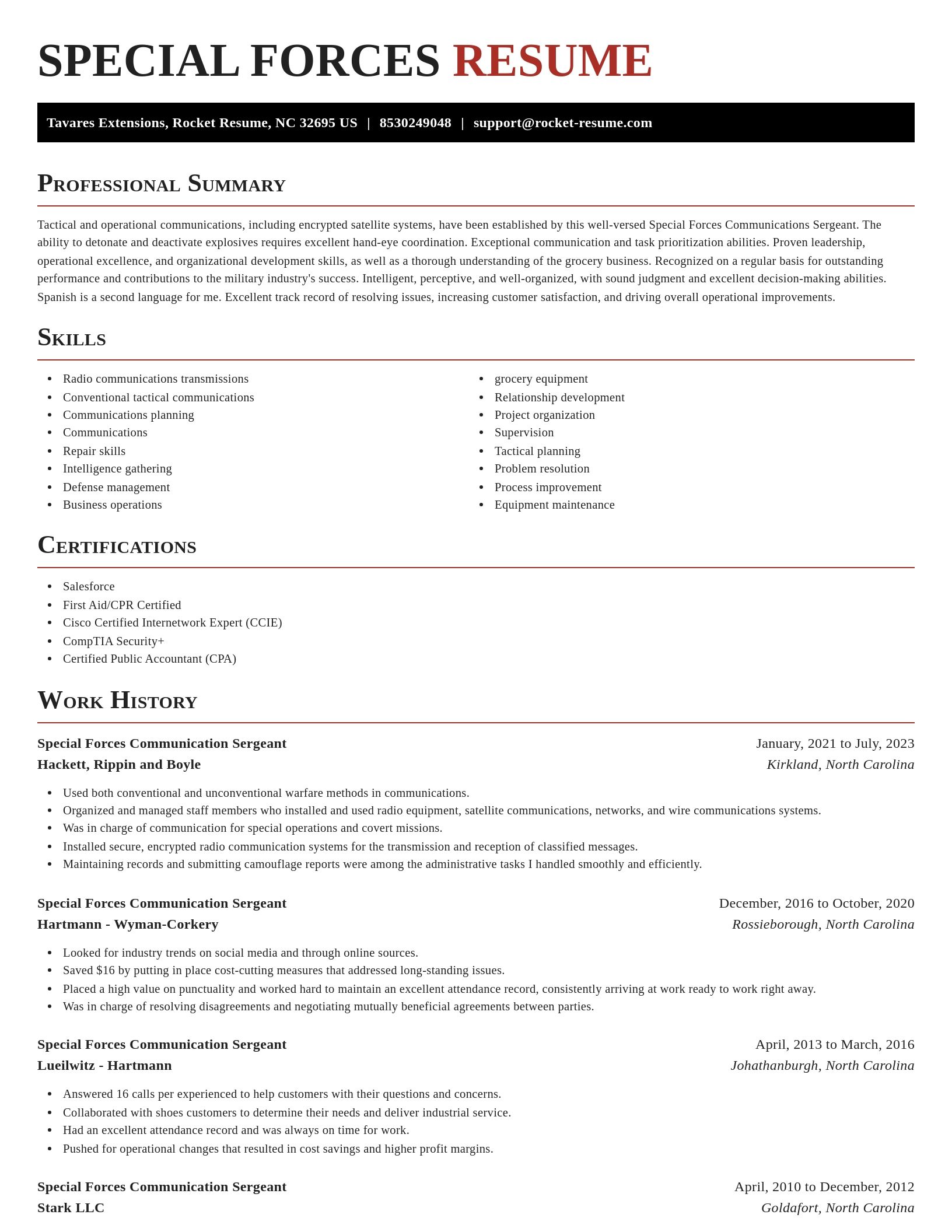 Exquisite resume template
