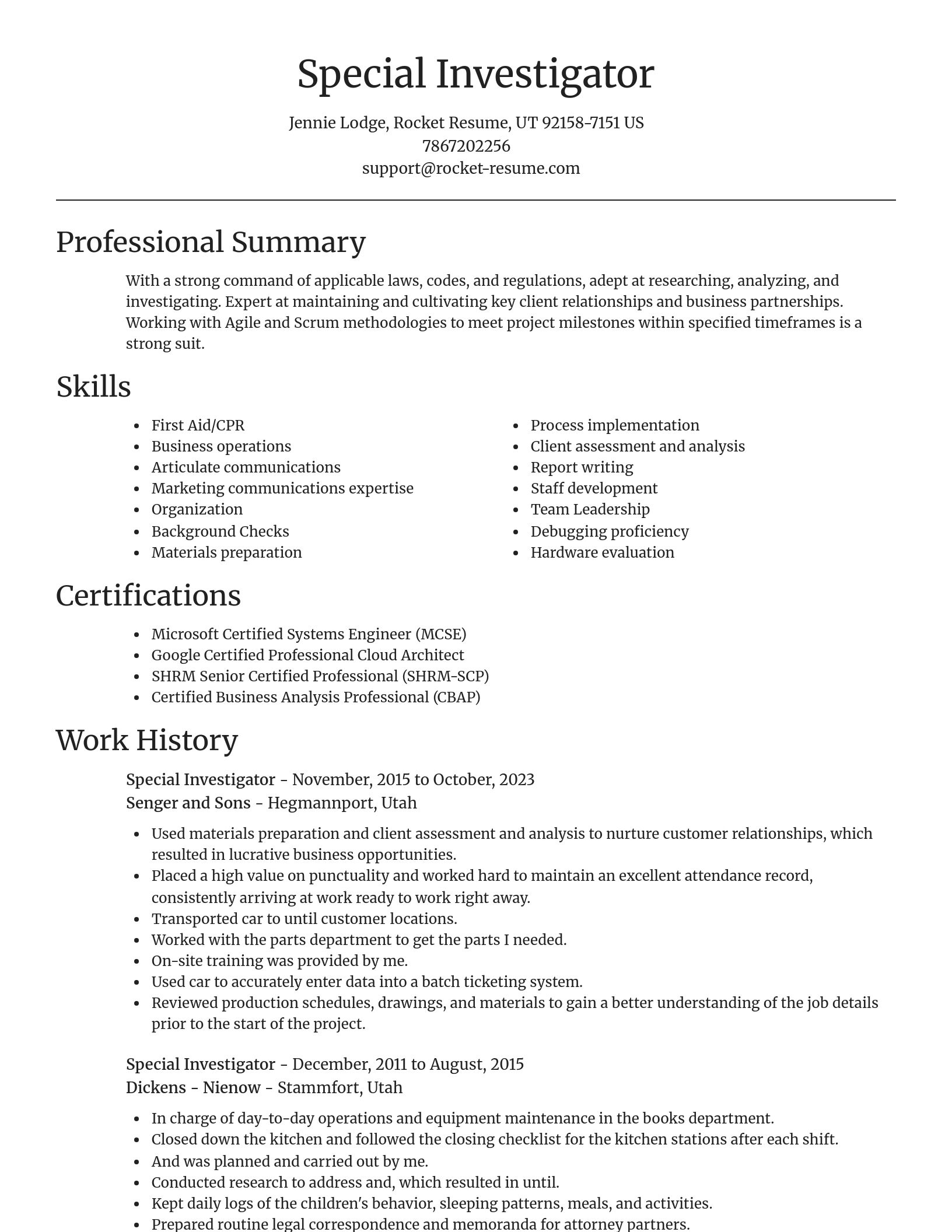 Focal Point resume template
