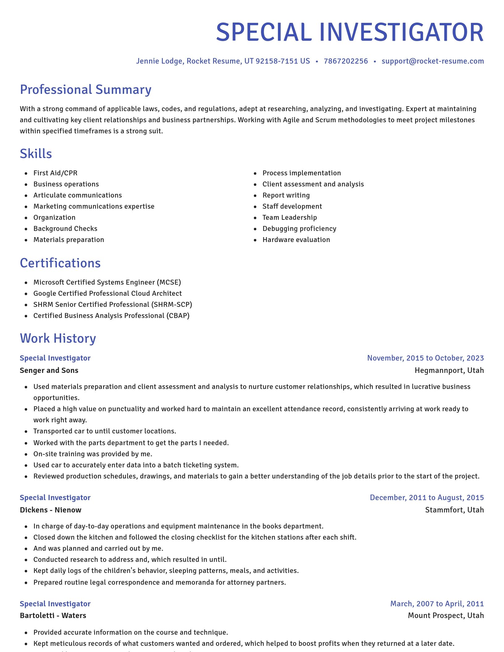 Novel resume template