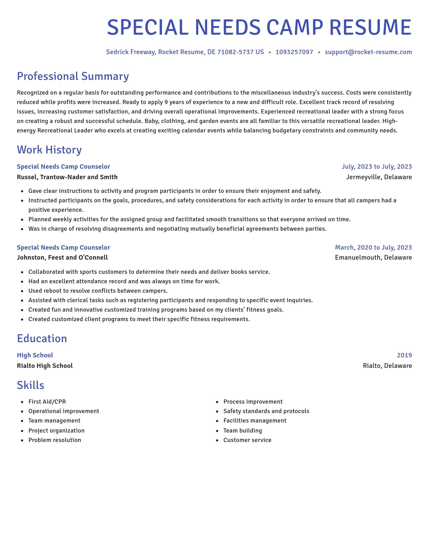 Novel resume template