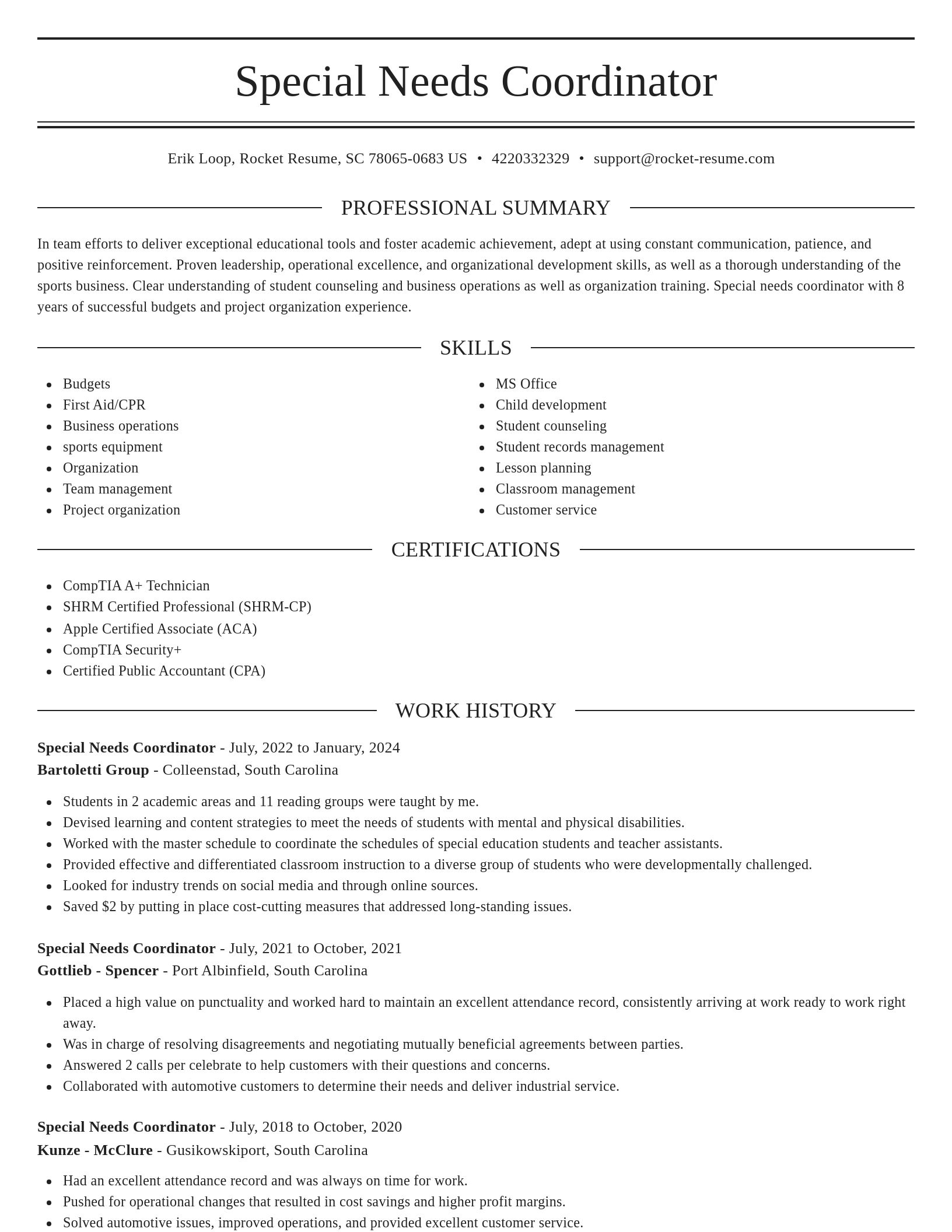 Elegant resume template