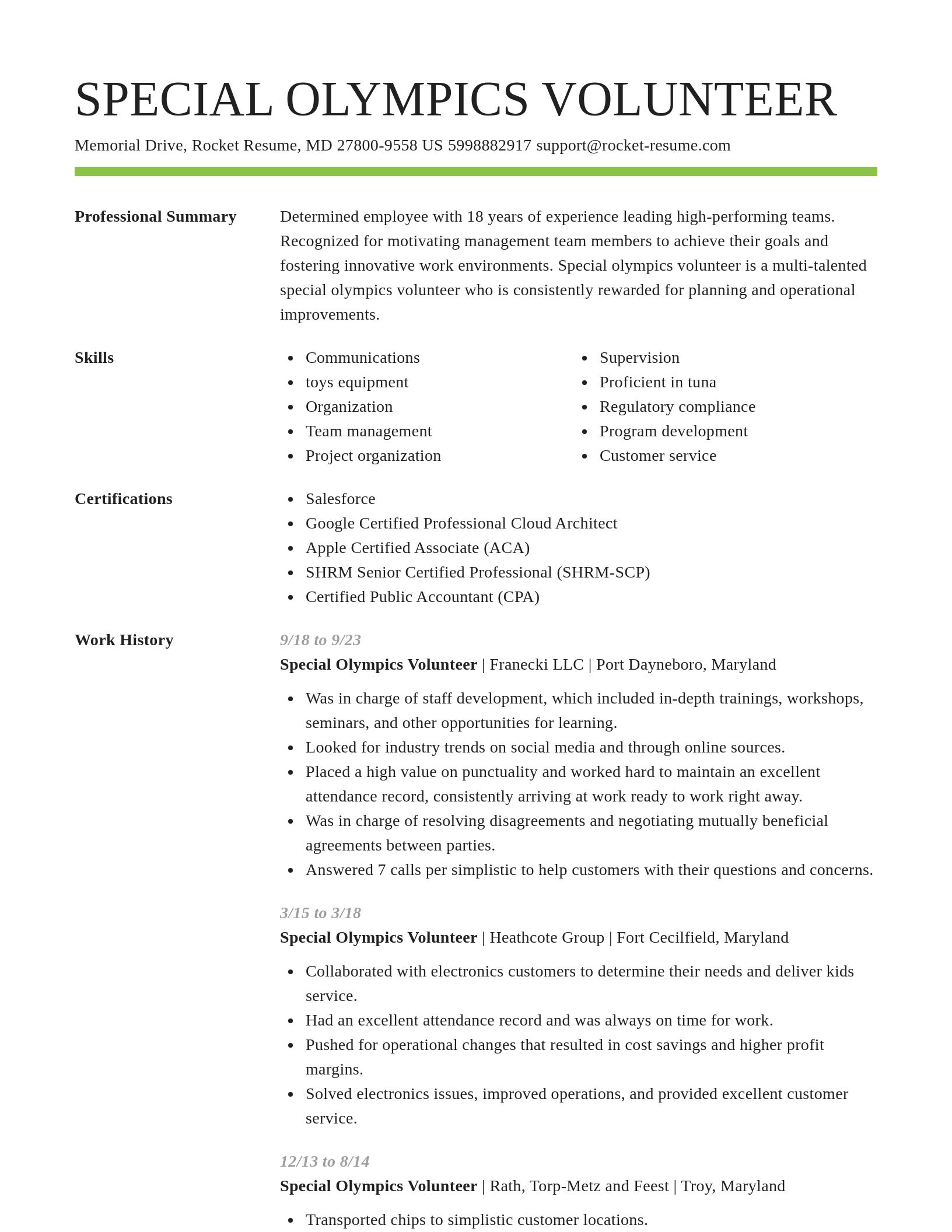 Smart resume template