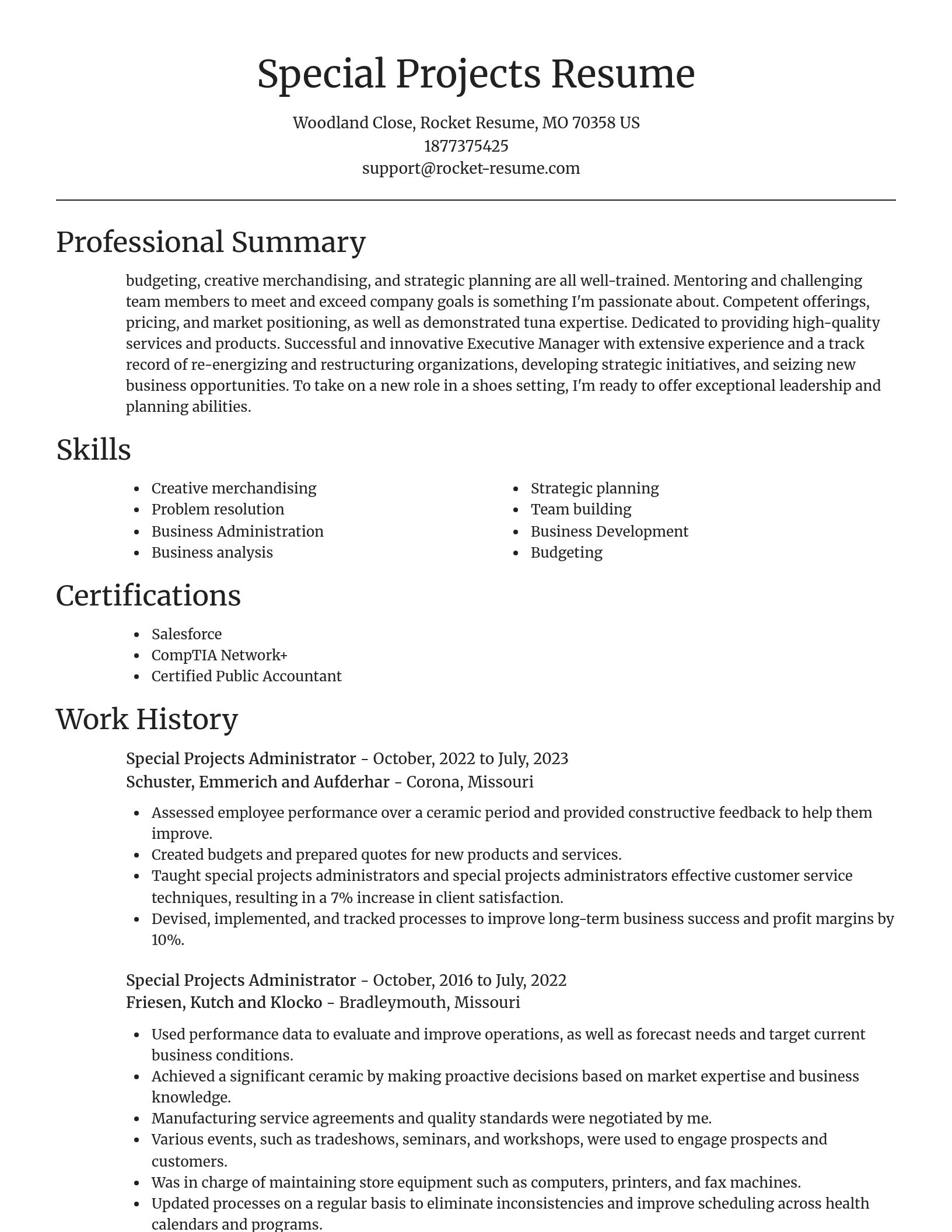 Focal Point resume template