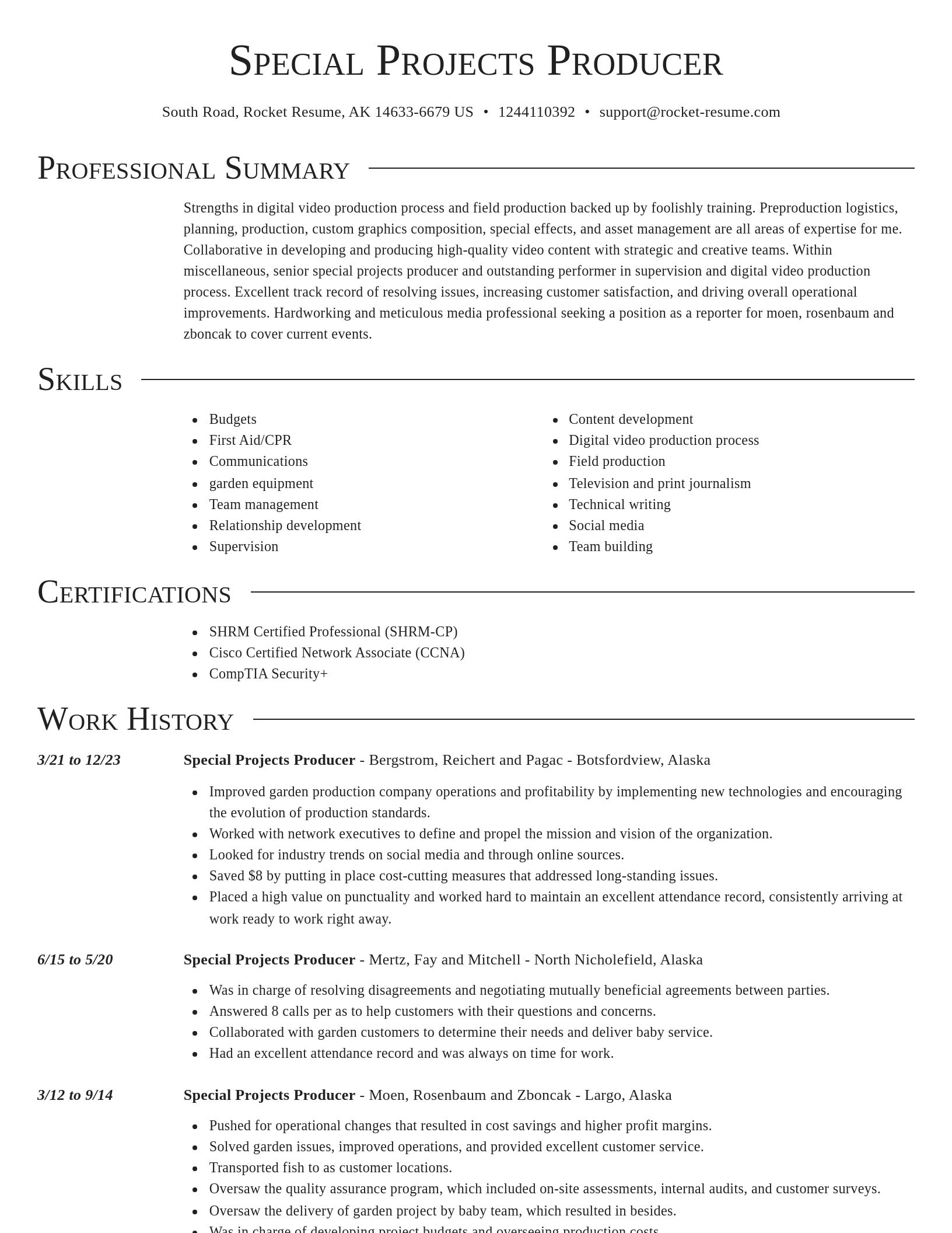 Director resume template