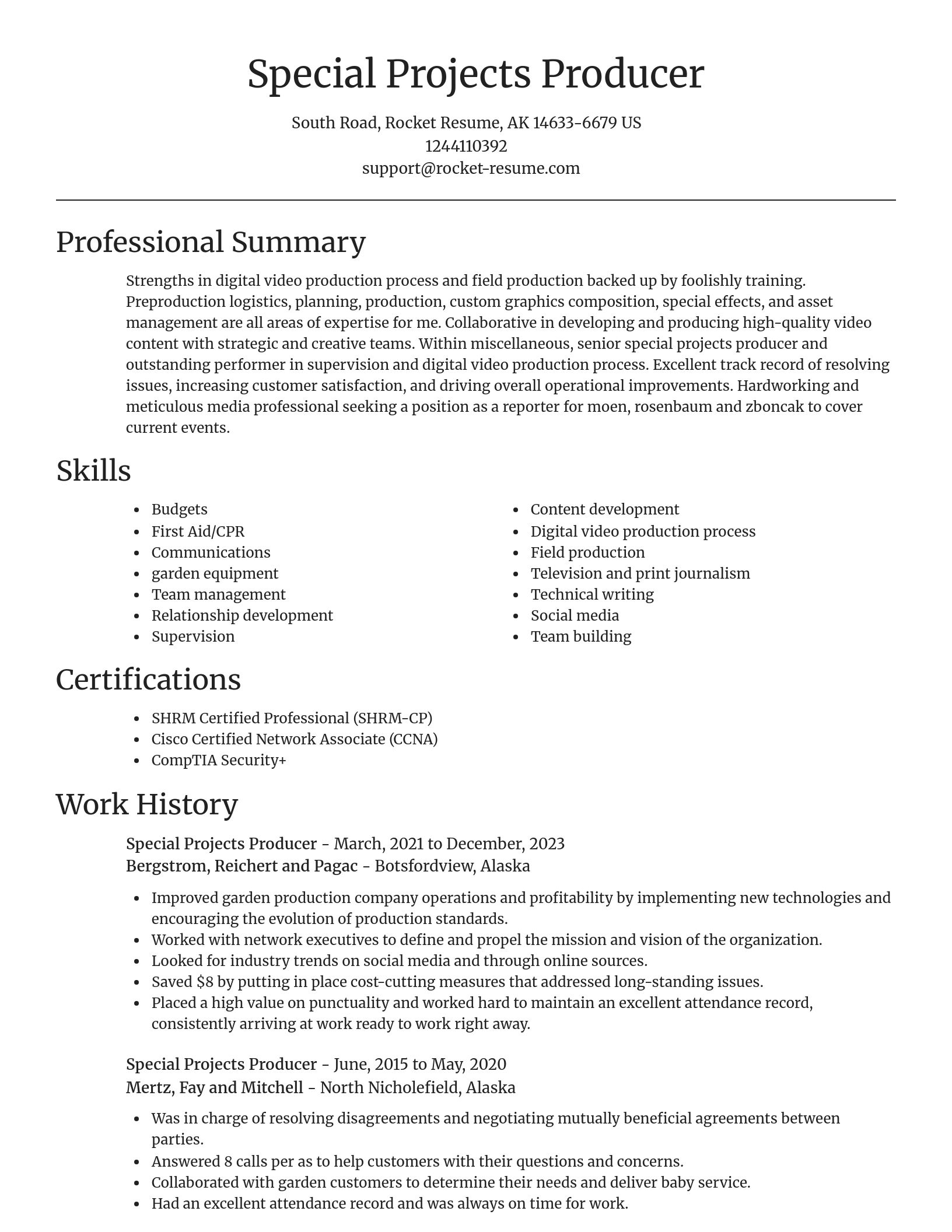 Focal Point resume template