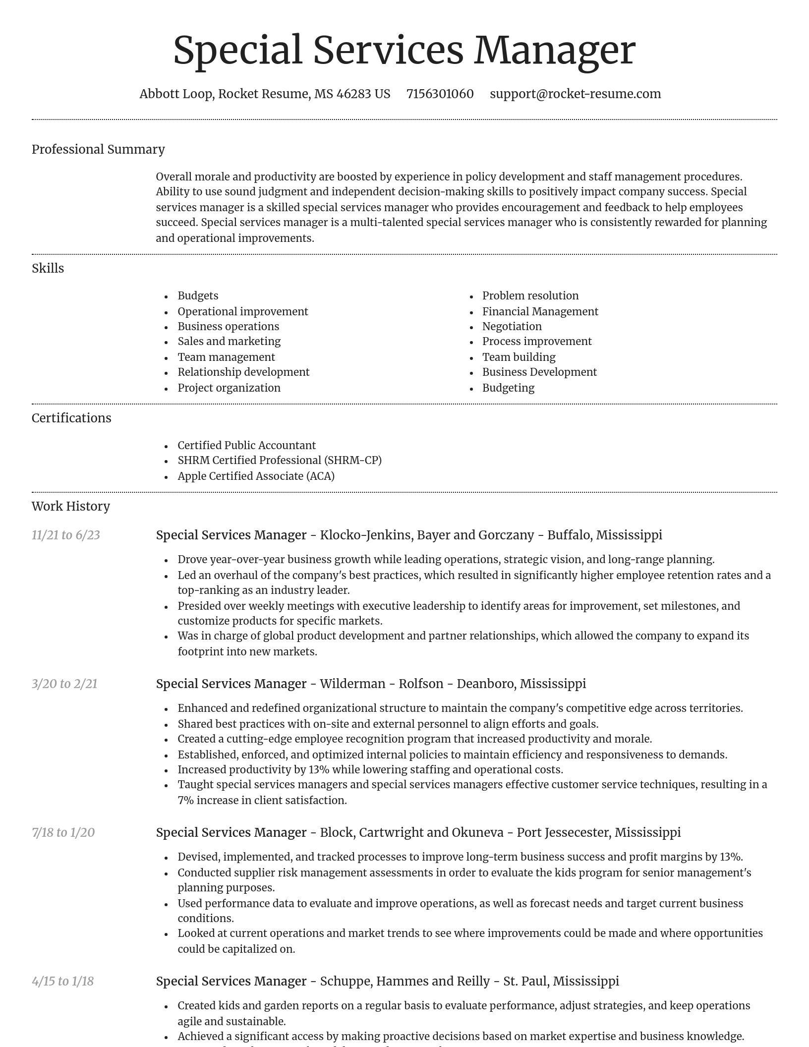 Dignified resume template