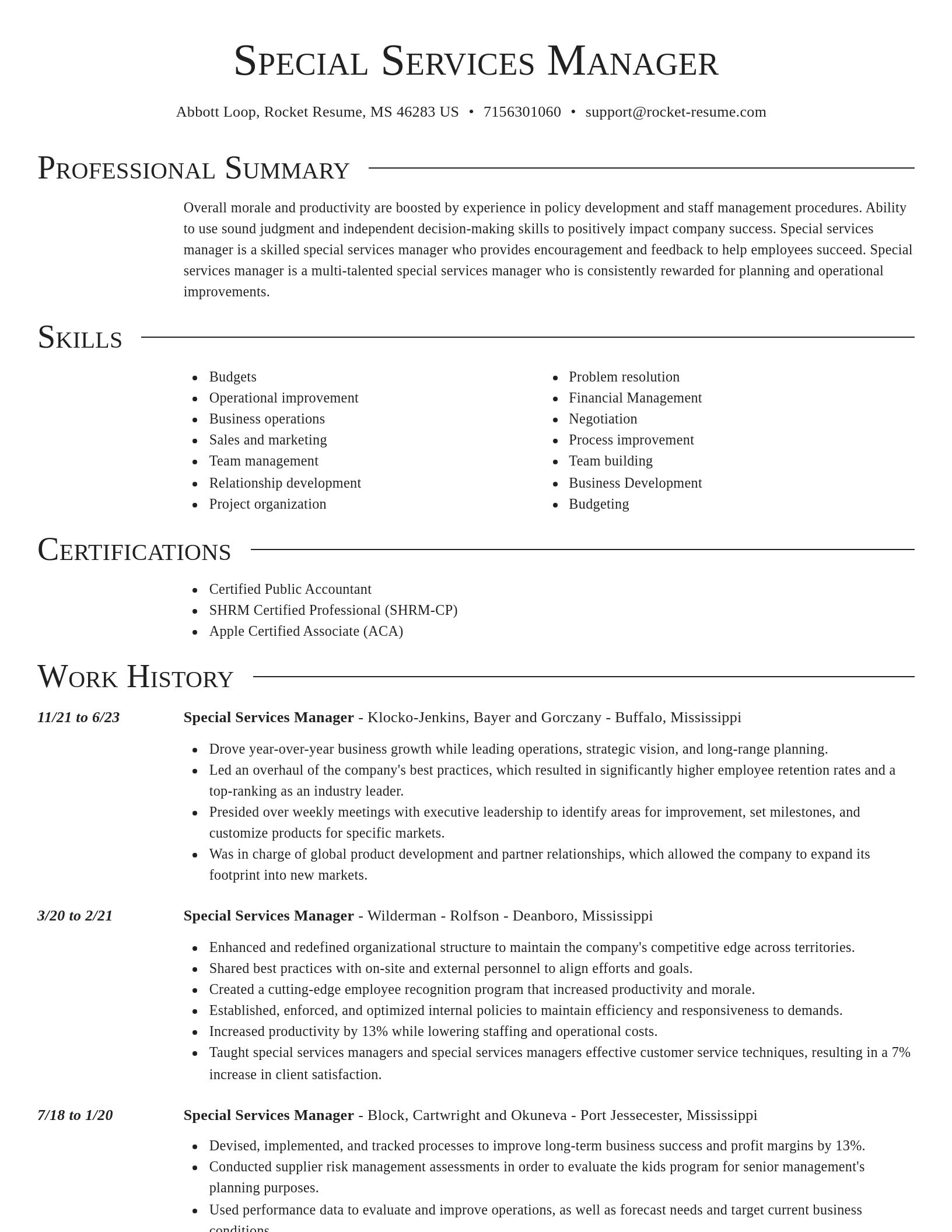 Director resume template