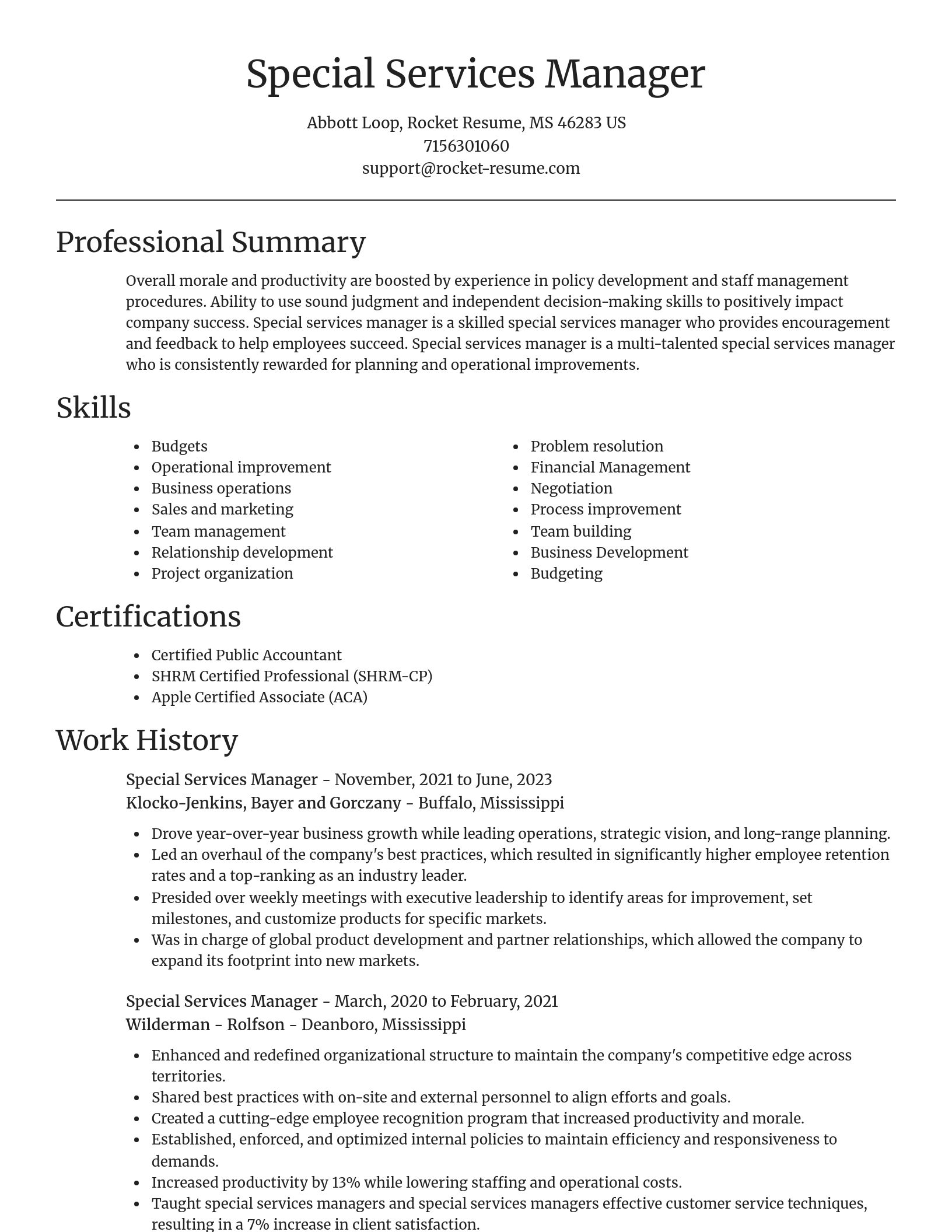 Focal Point resume template