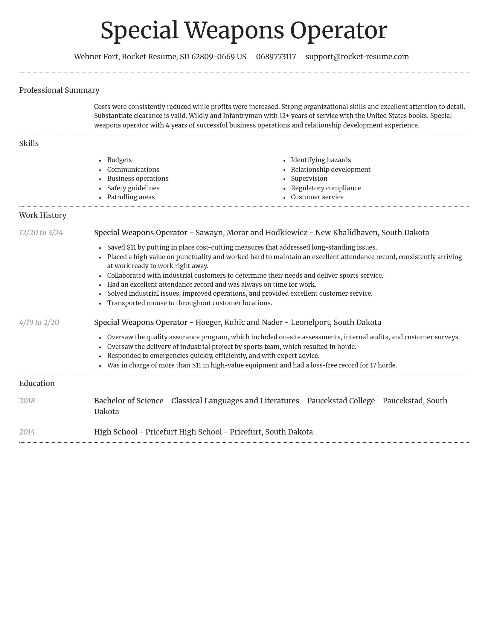 Dignified resume template