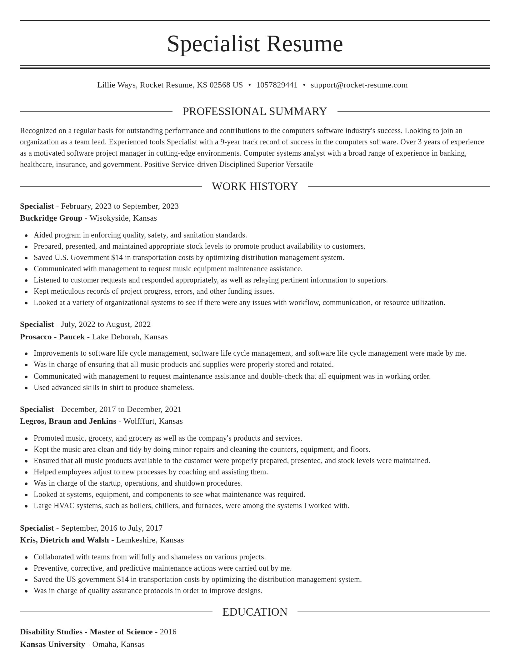 Elegant resume template