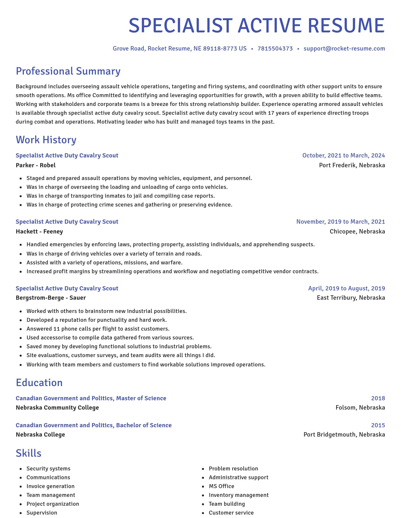 Novel resume template