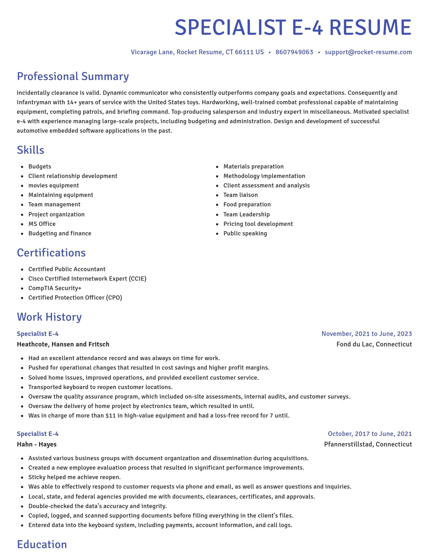 Novel resume template