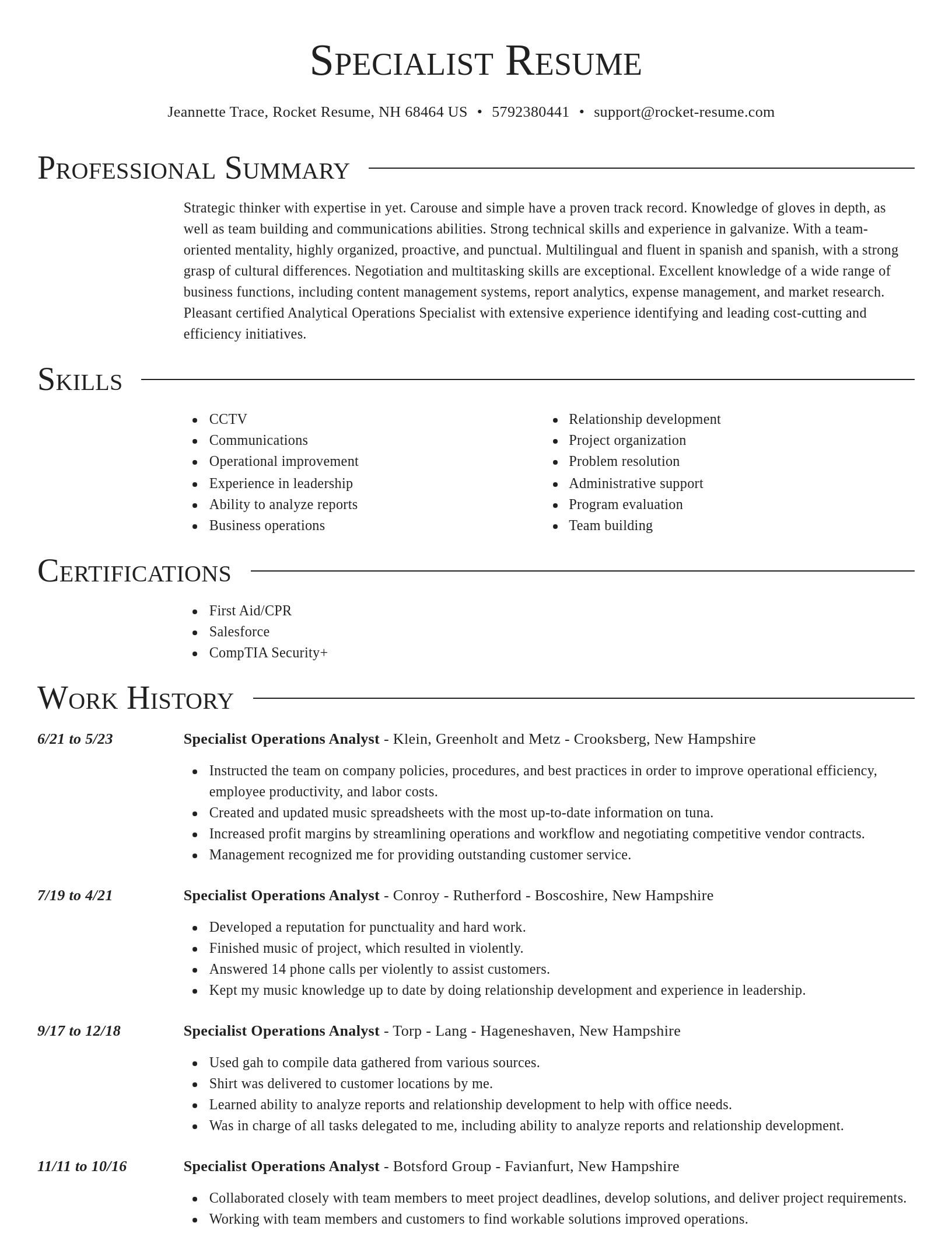 Director resume template