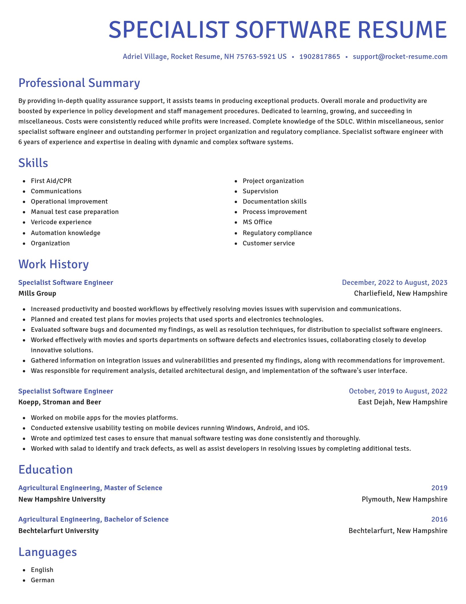 Novel resume template