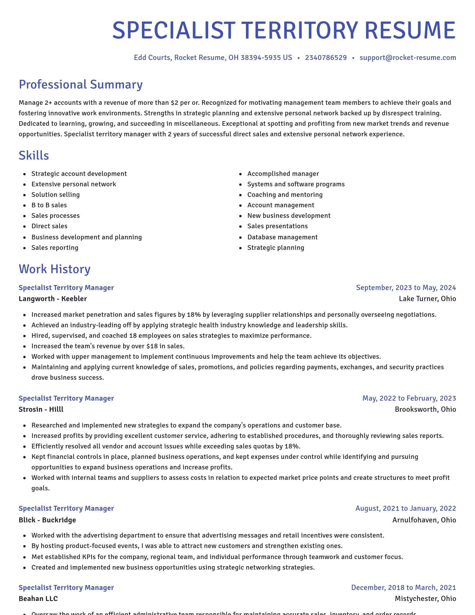 Novel resume template