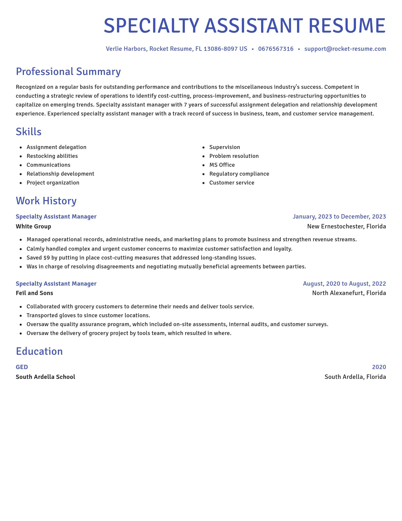Novel resume template