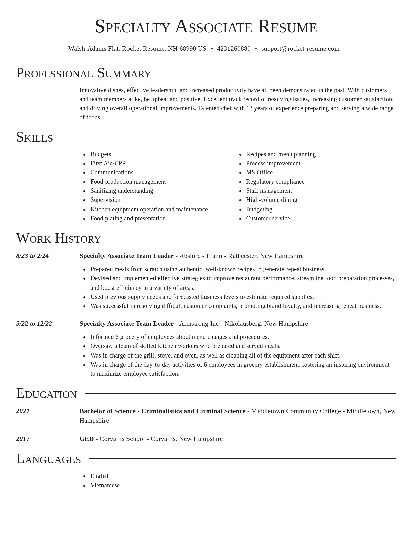 Director resume template