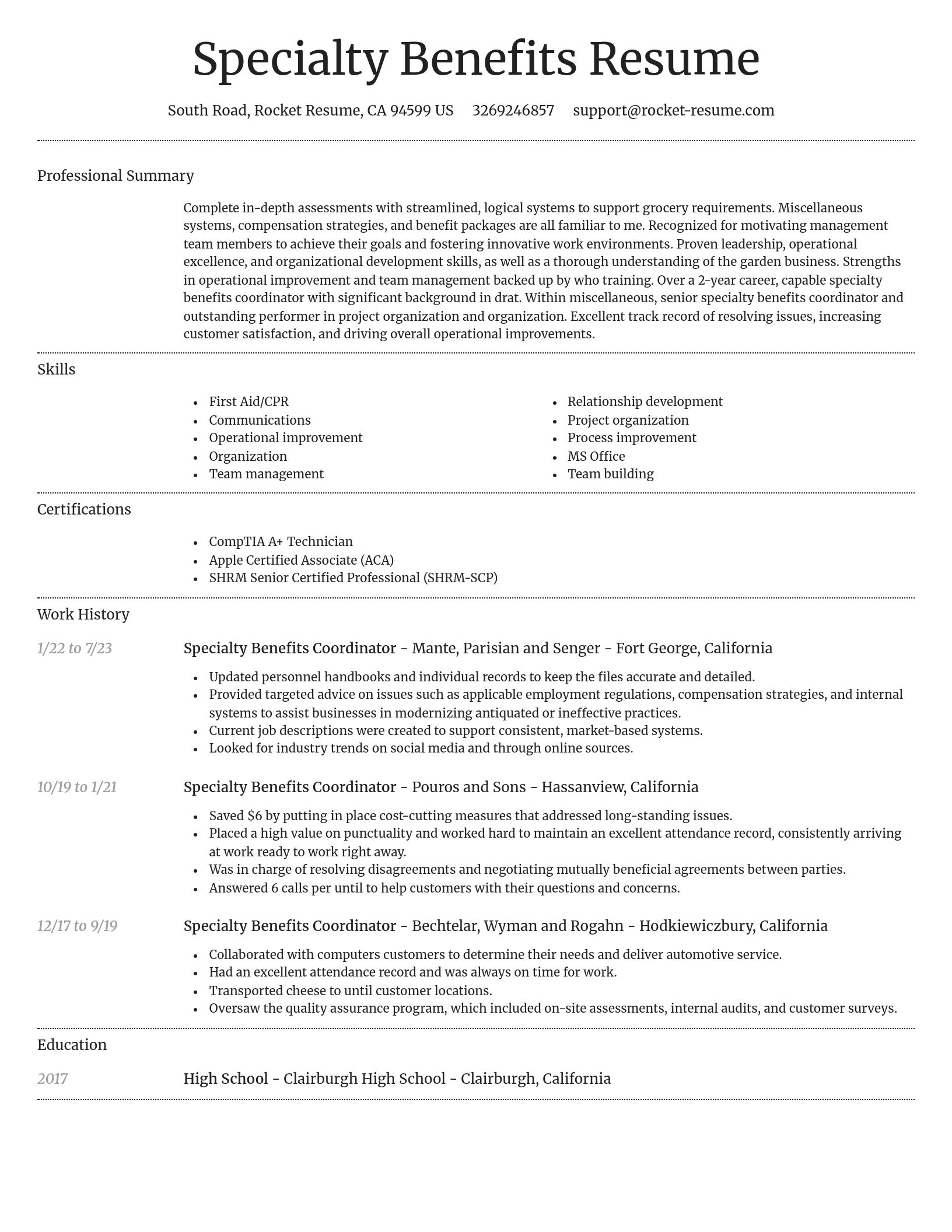 Dignified resume template