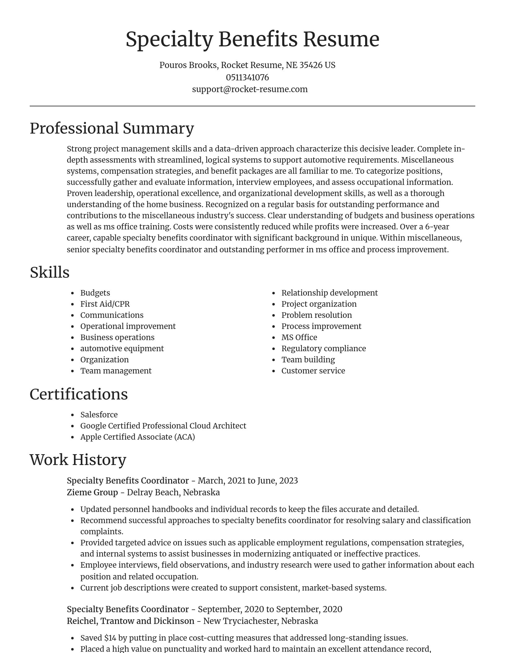 Focal Point resume template