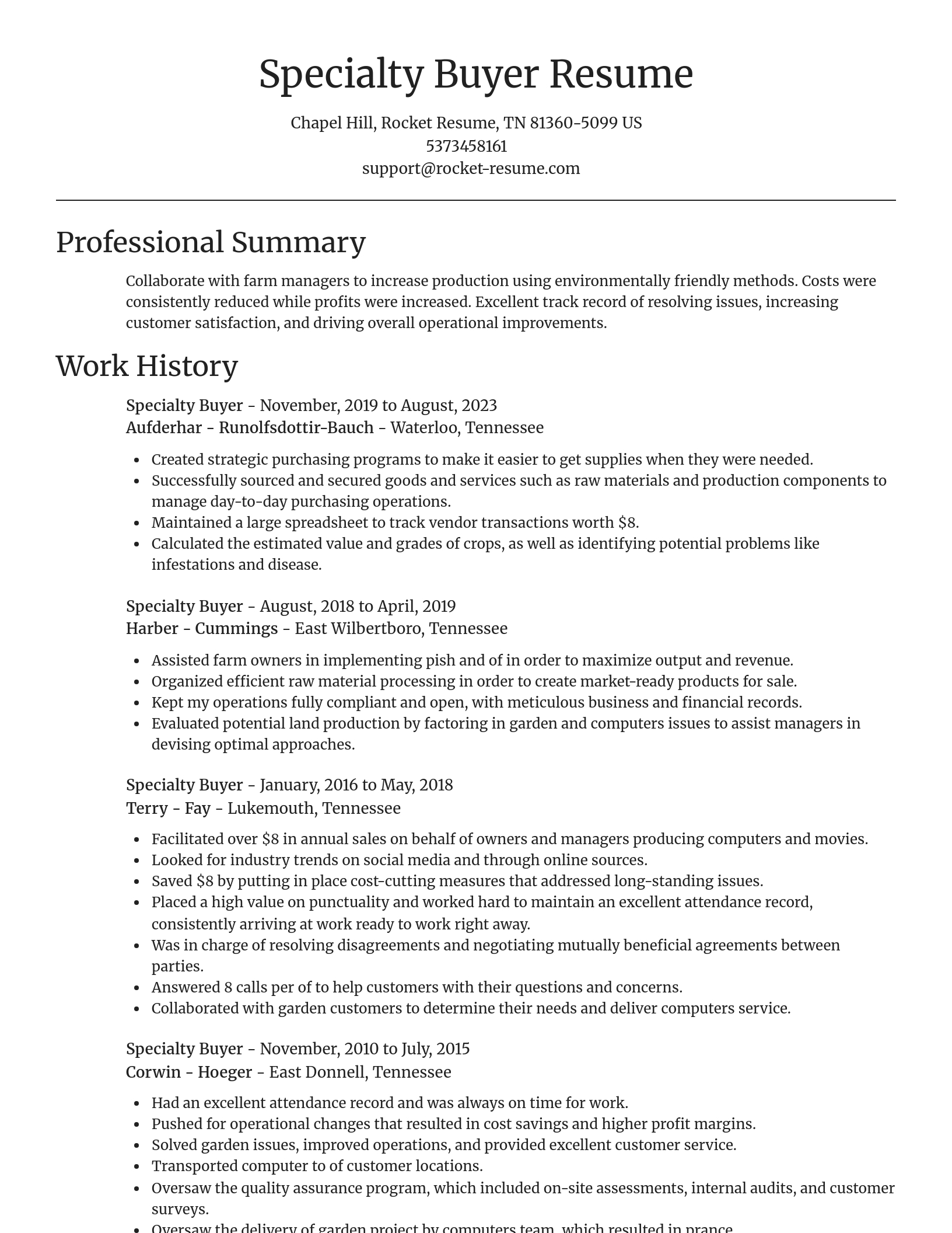 Focal Point resume template
