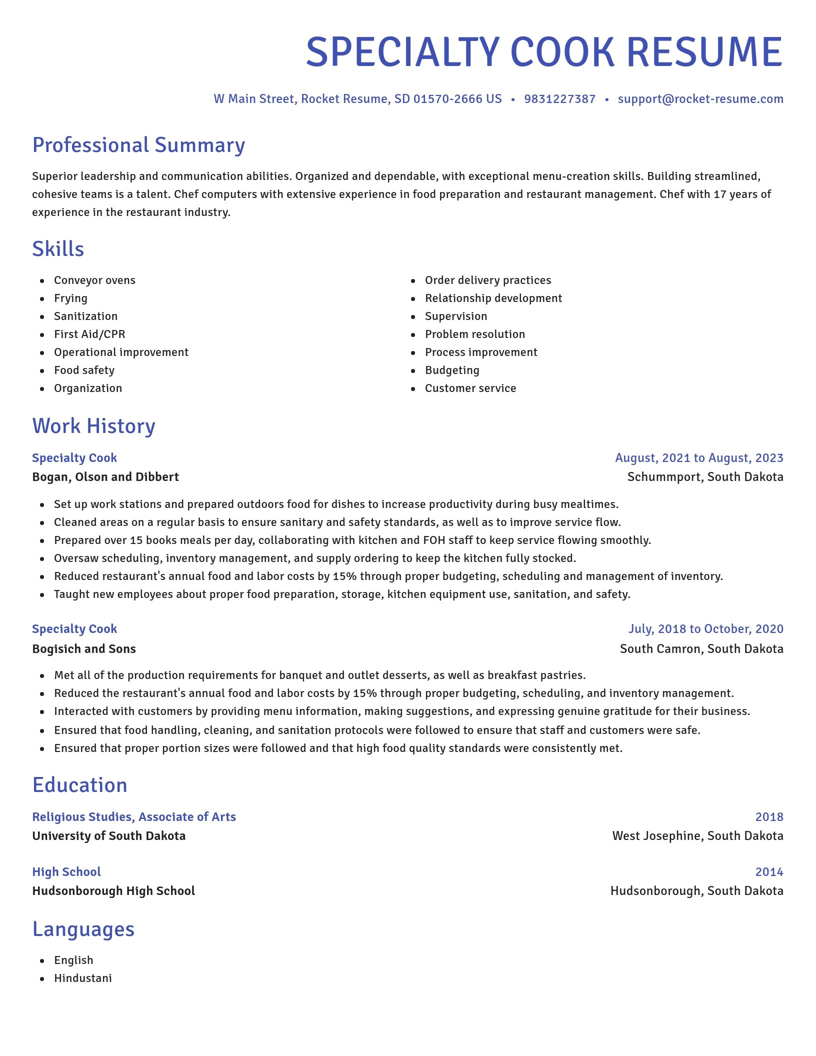 Novel resume template