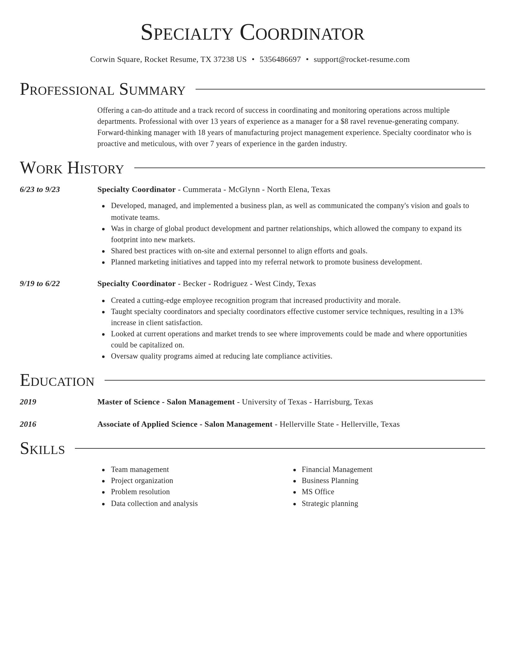 Director resume template