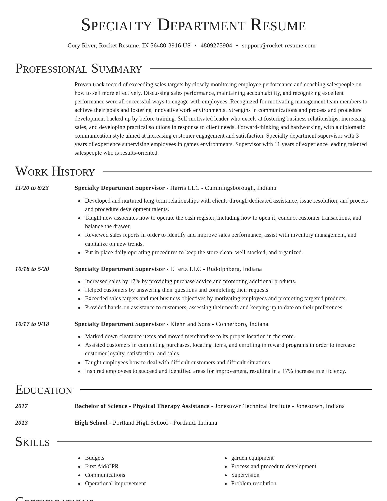 Director resume template