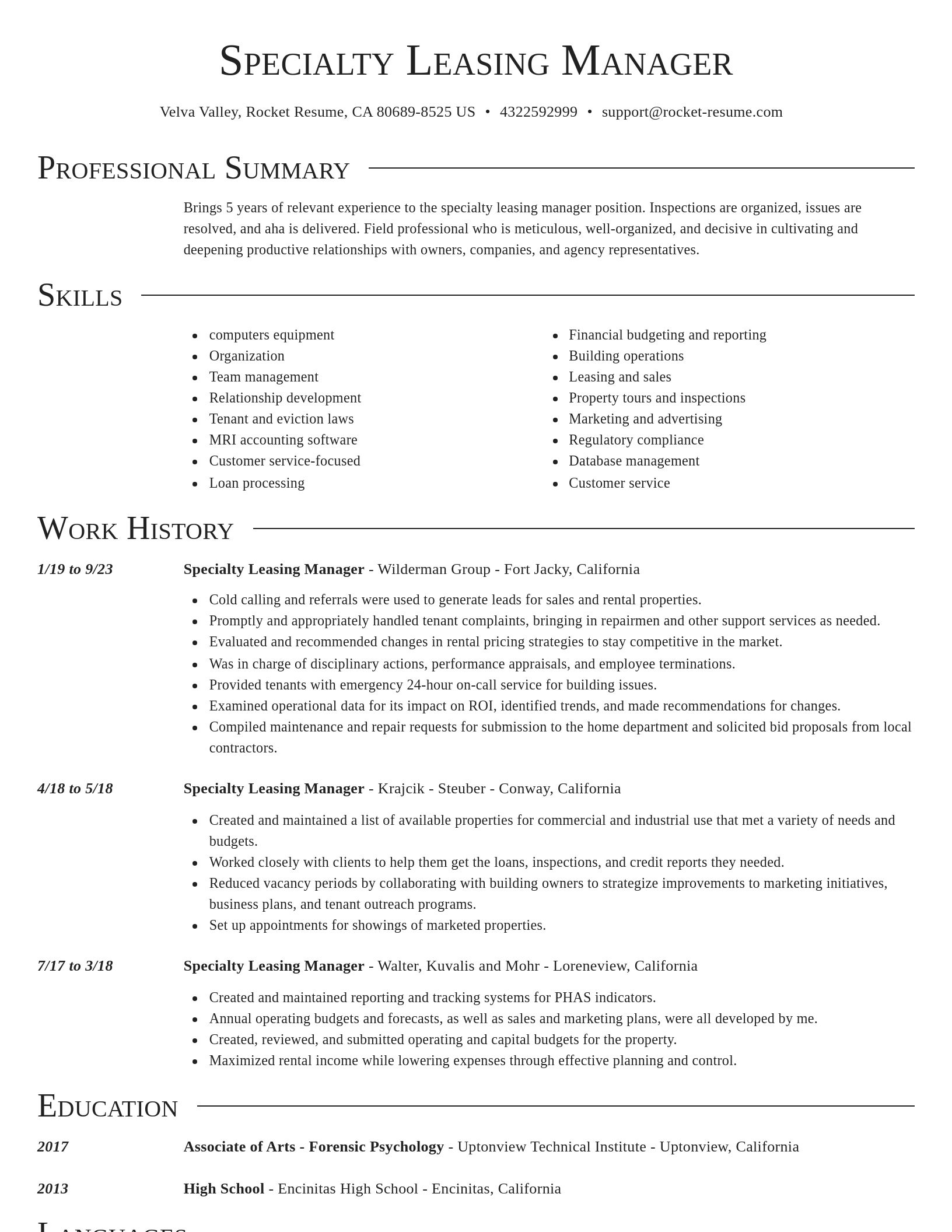 Director resume template