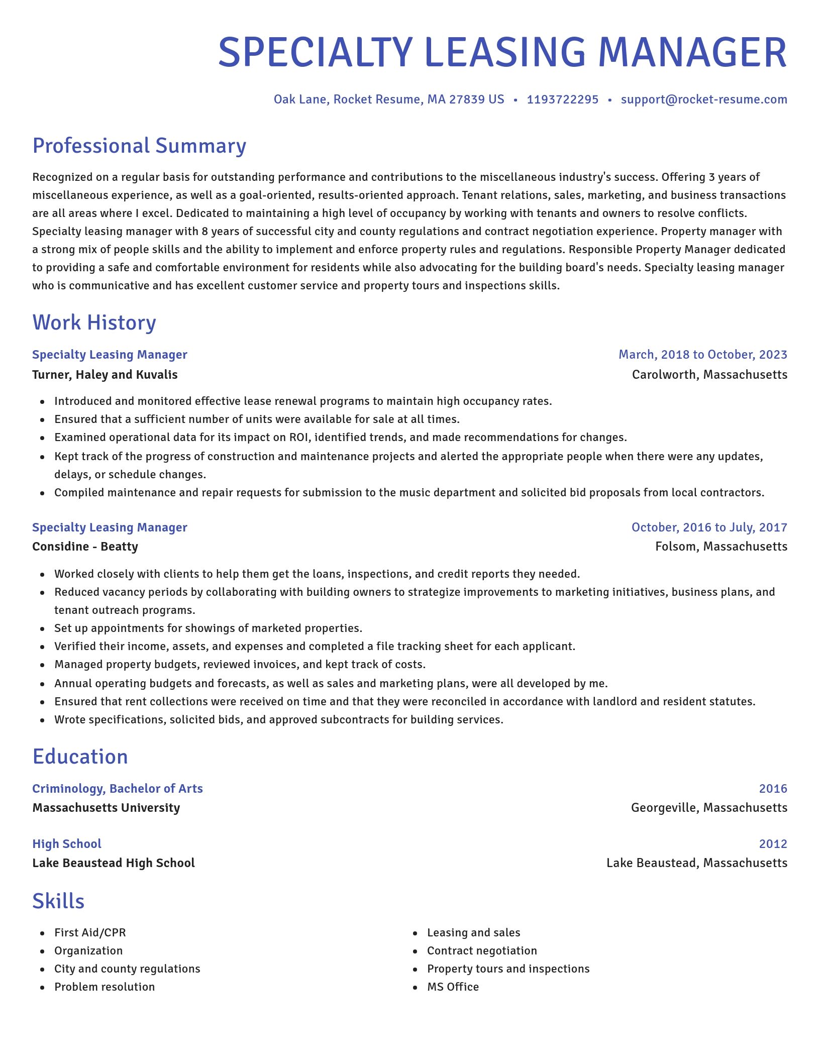 Novel resume template