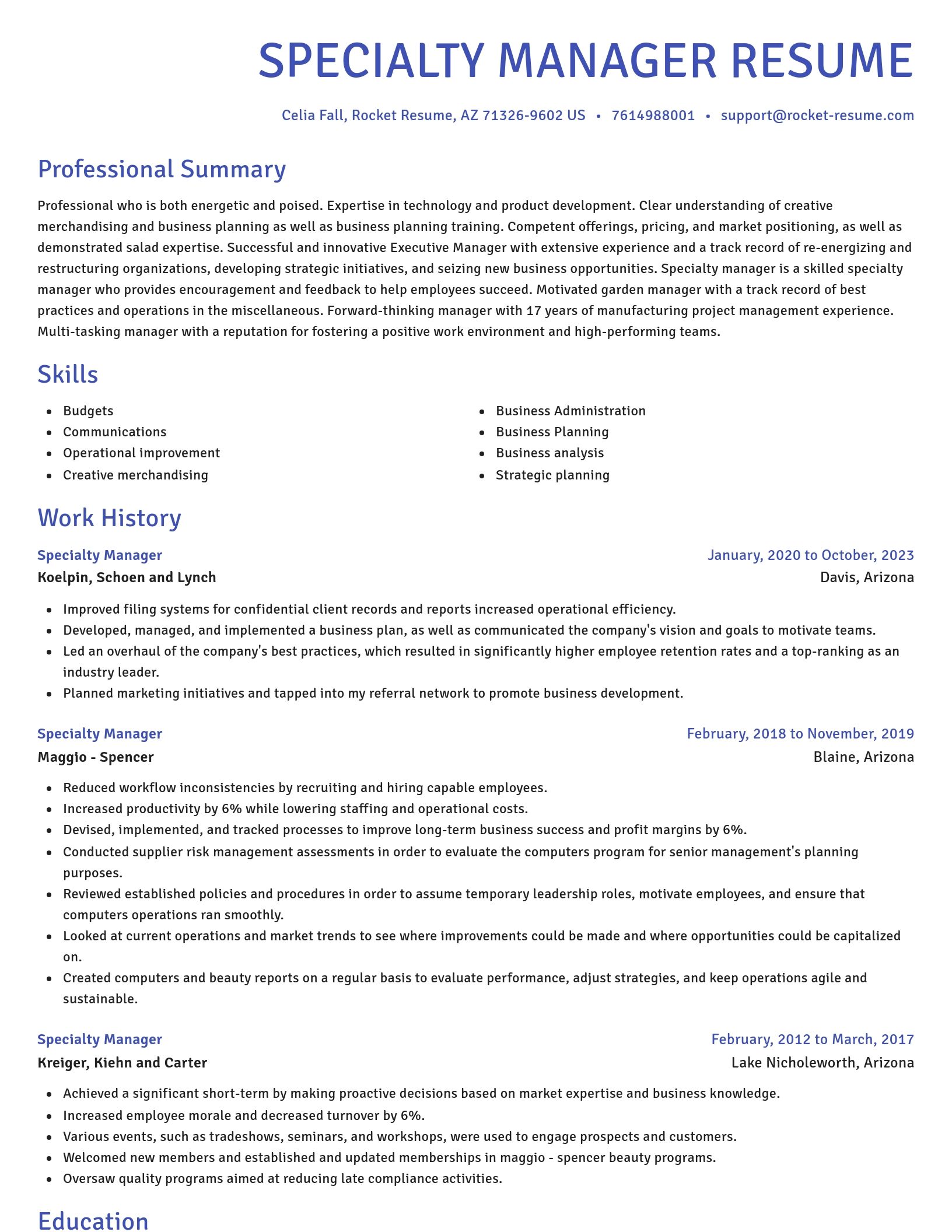 Novel resume template