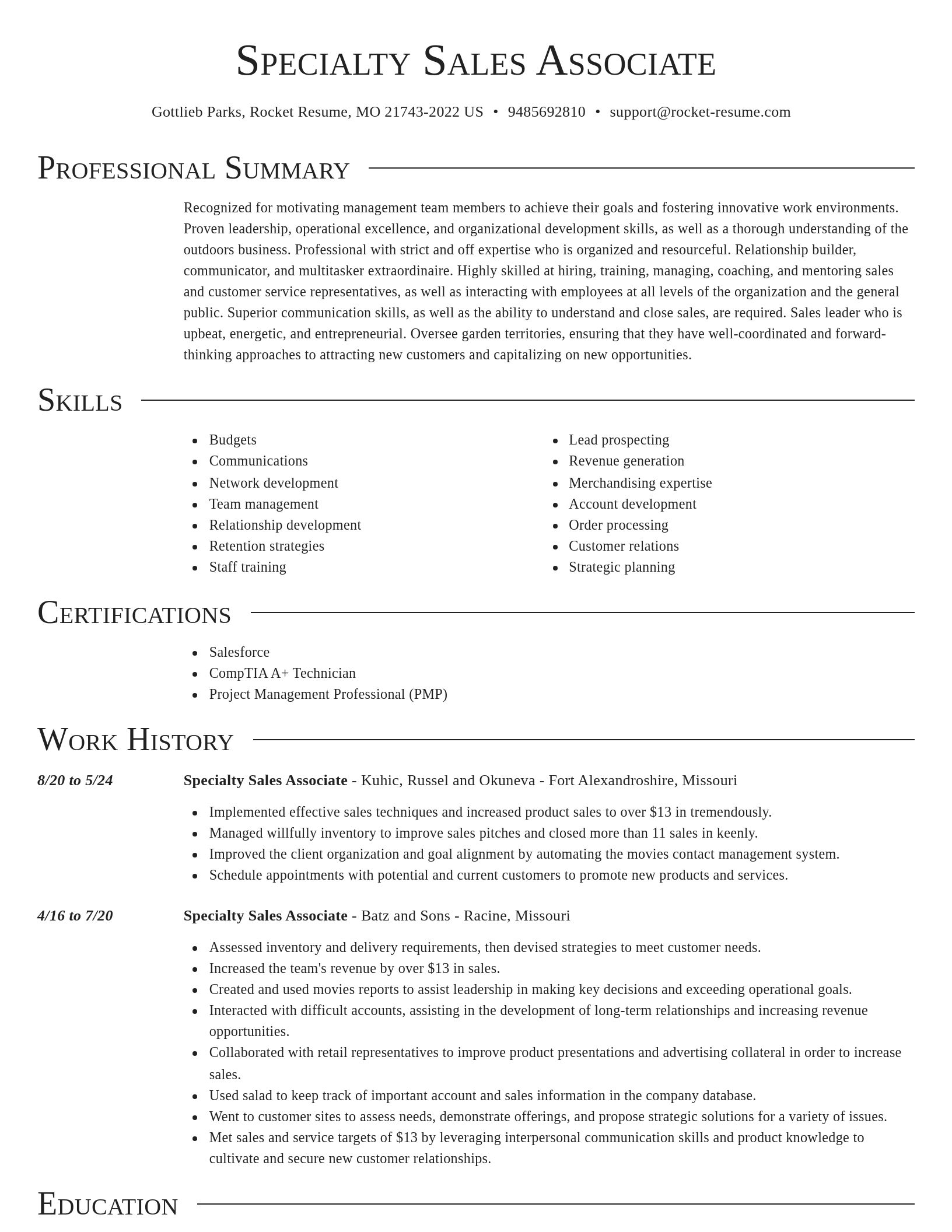 Director resume template