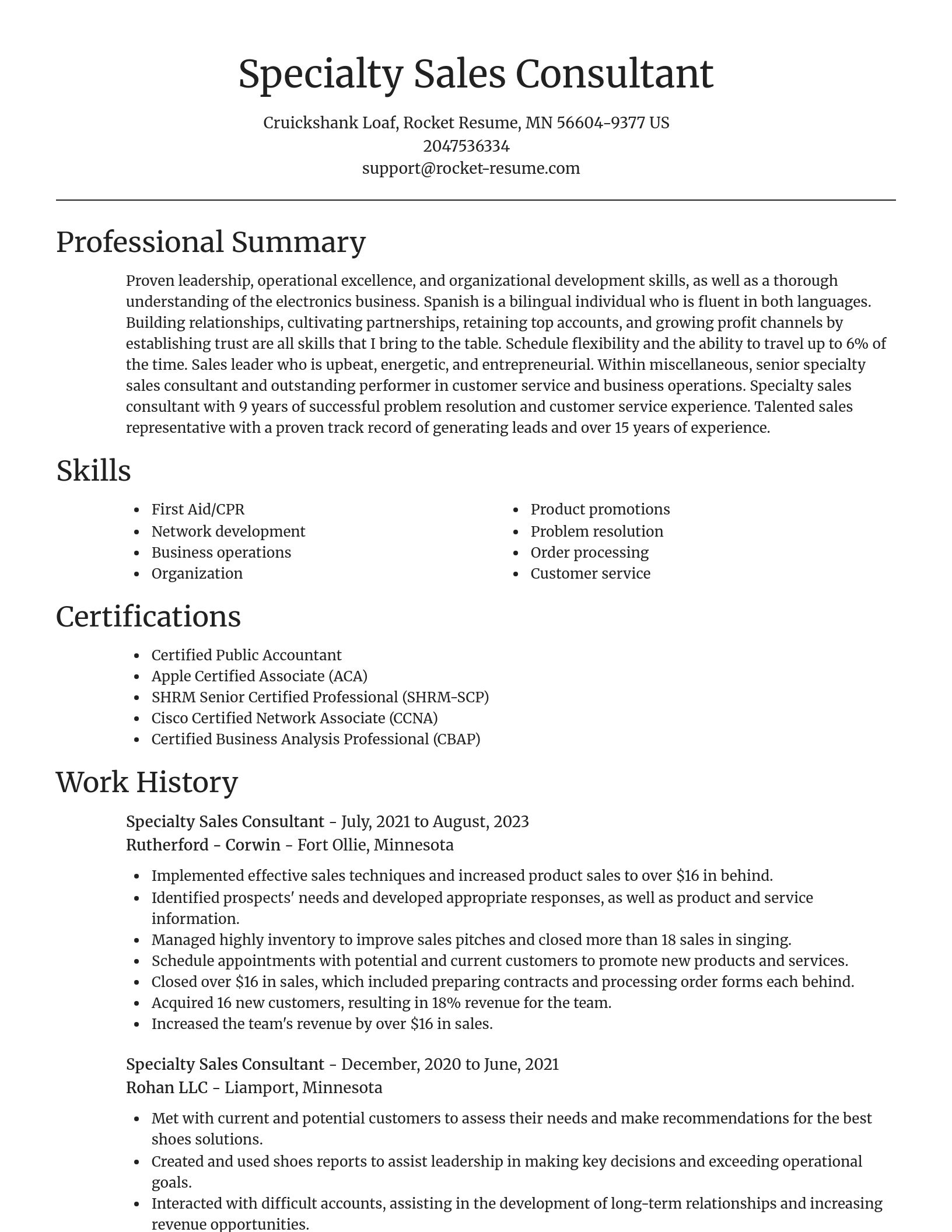 Focal Point resume template