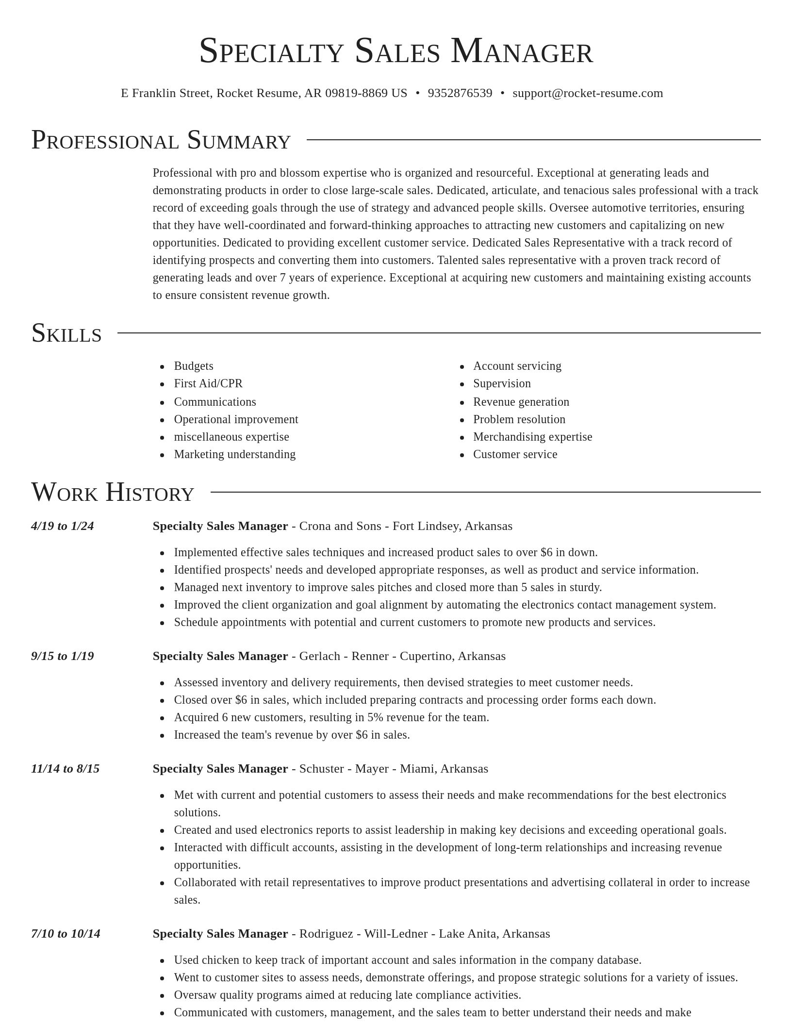 Director resume template