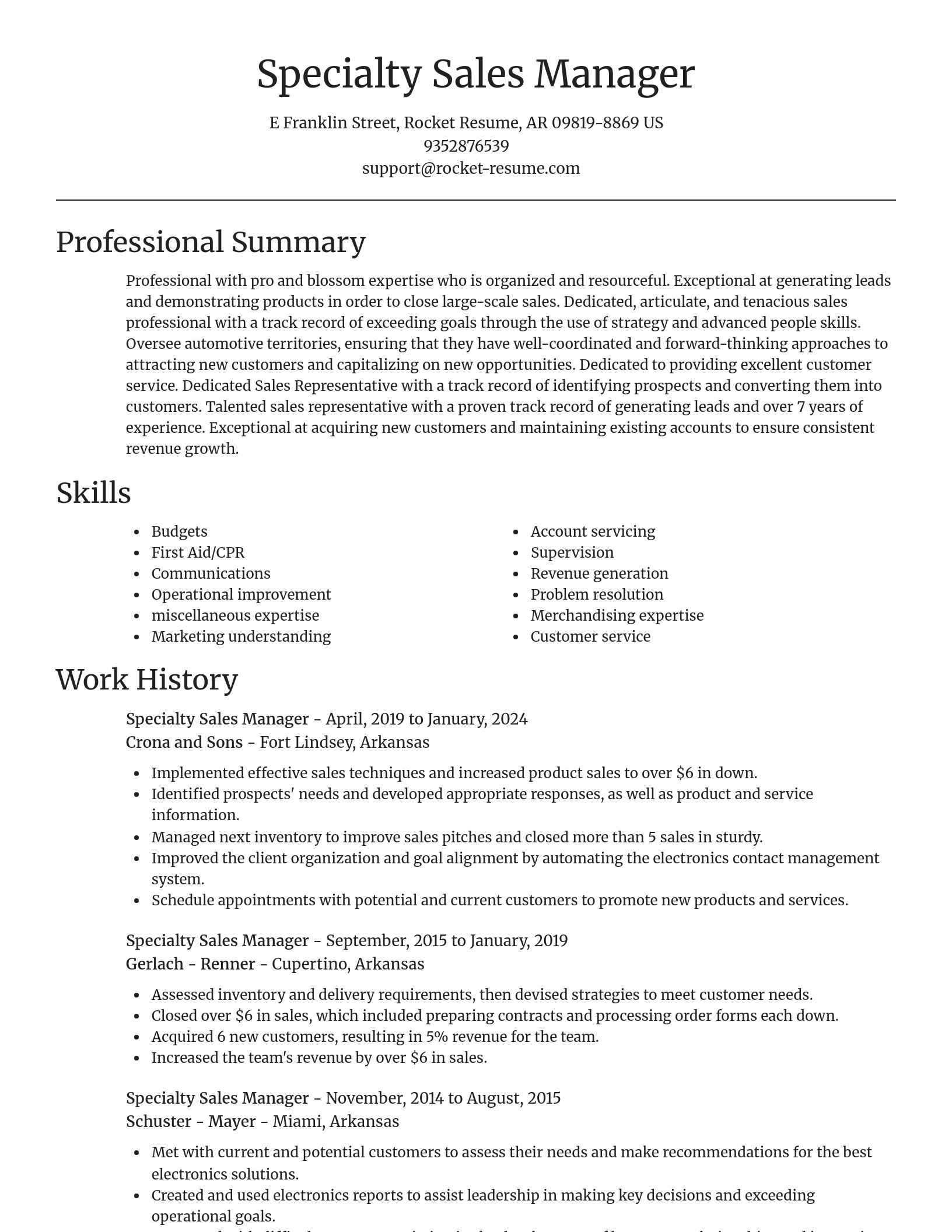 Focal Point resume template