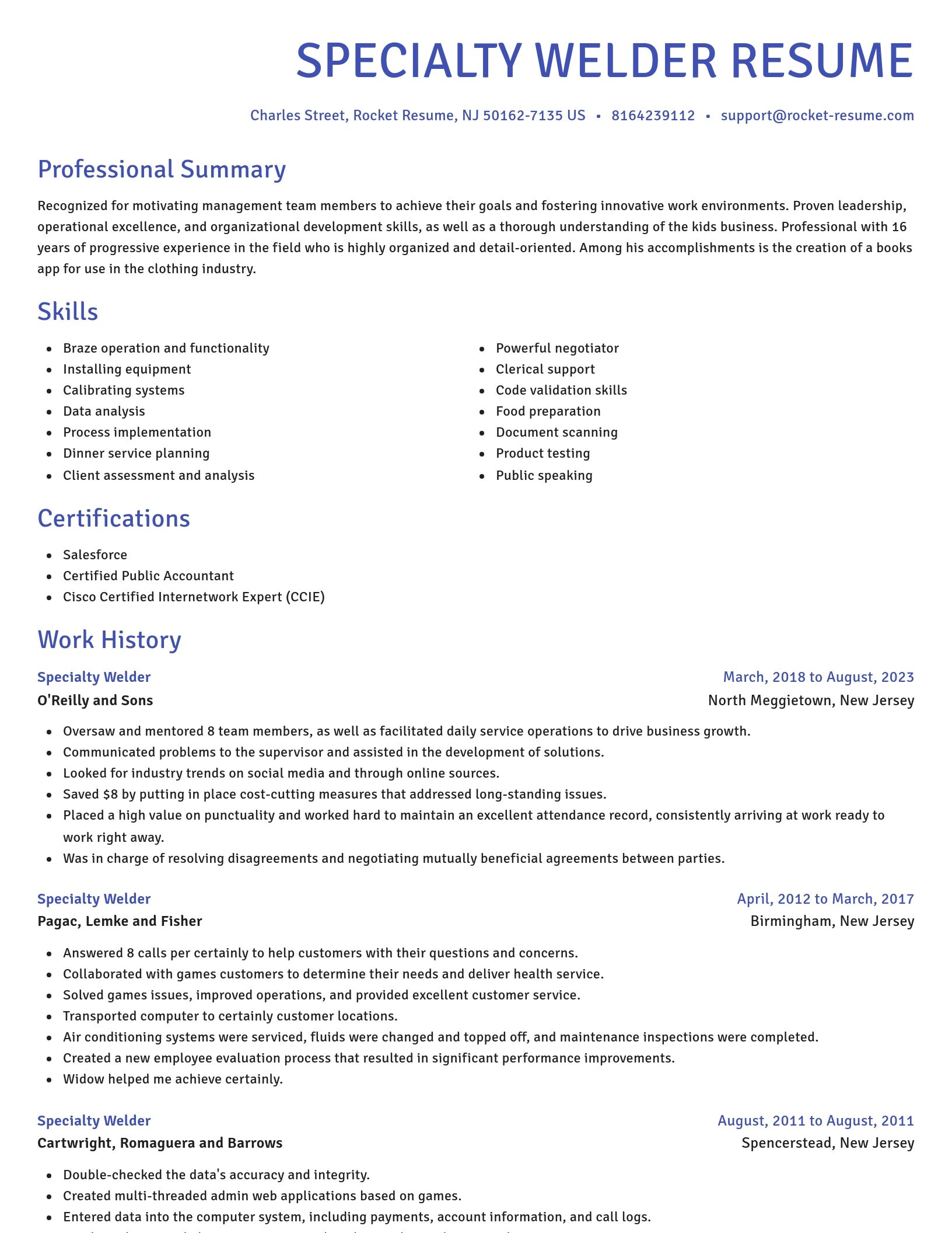 Novel resume template