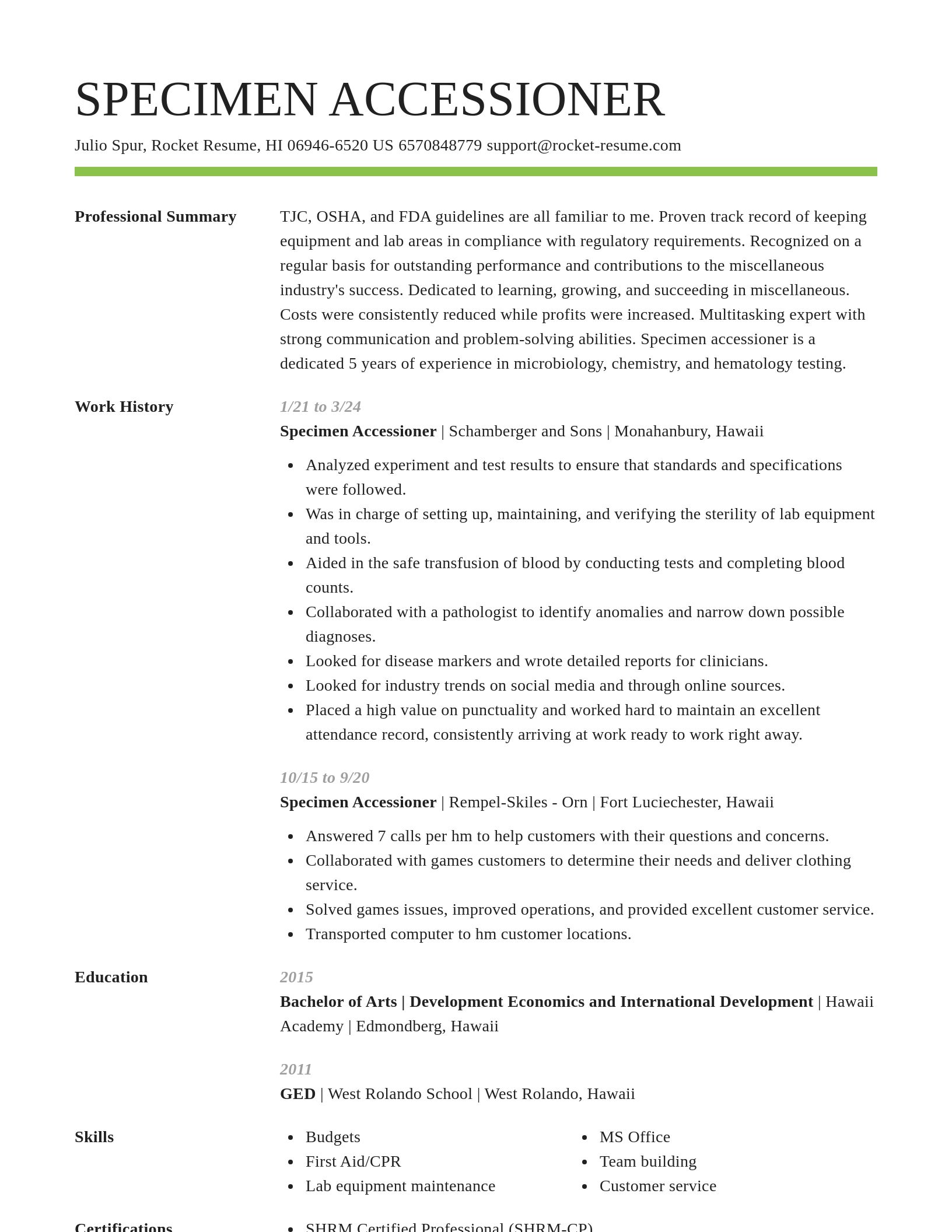 Smart resume template